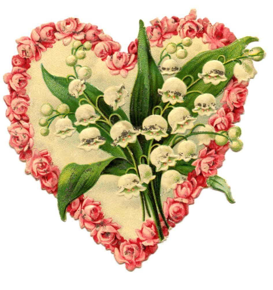 945x1004 Happy Valentine's Day Flowers Image! Graphics Fairy