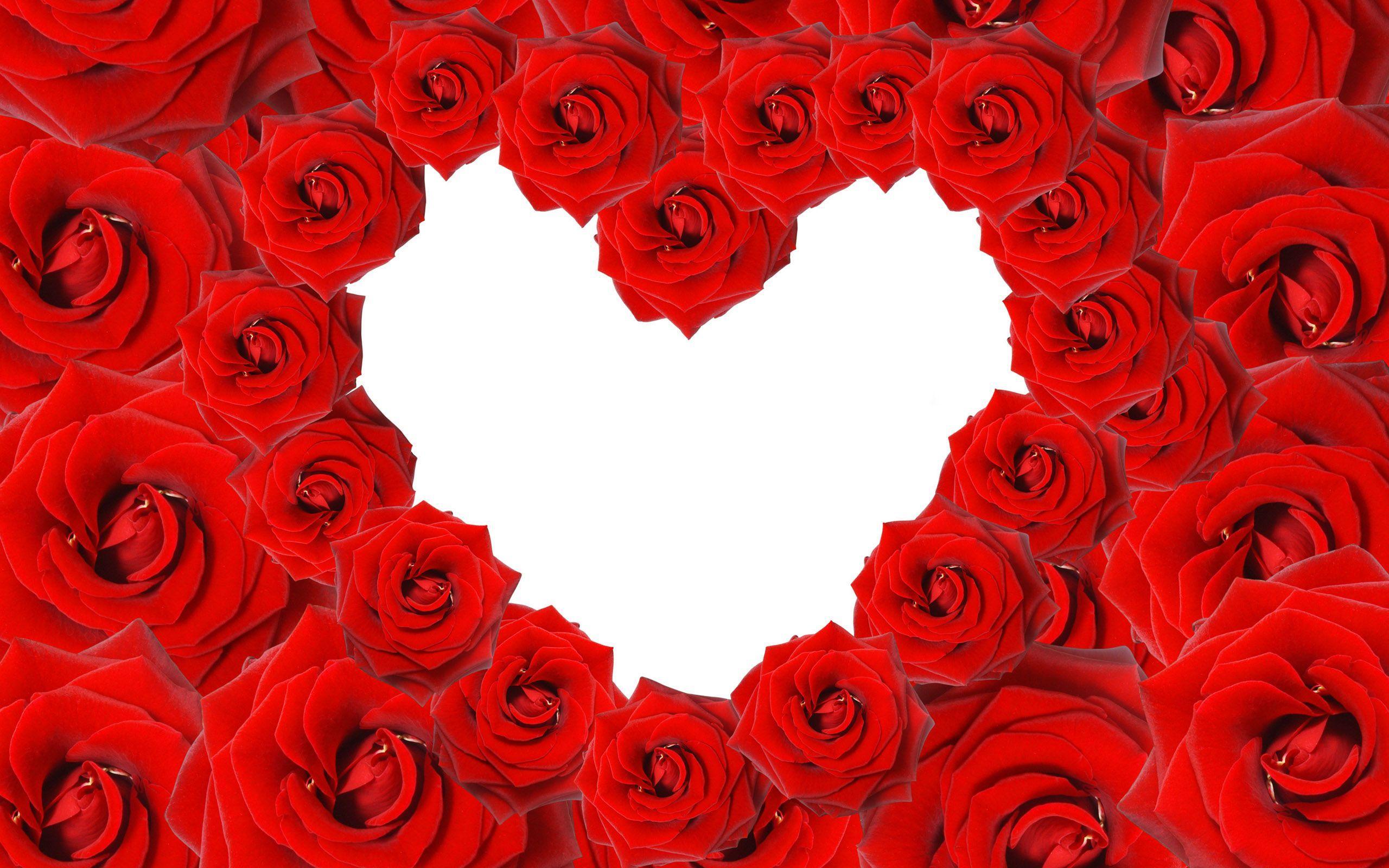 2560x1600 Heart Rose Wallpaper