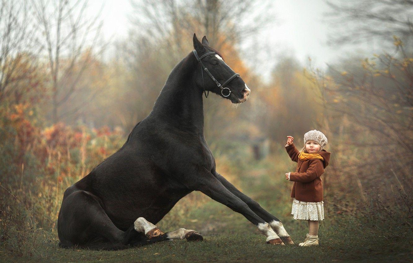 1332x850 Photo Wallpaper Horse, Girl, Baby, Taming Taming Horse