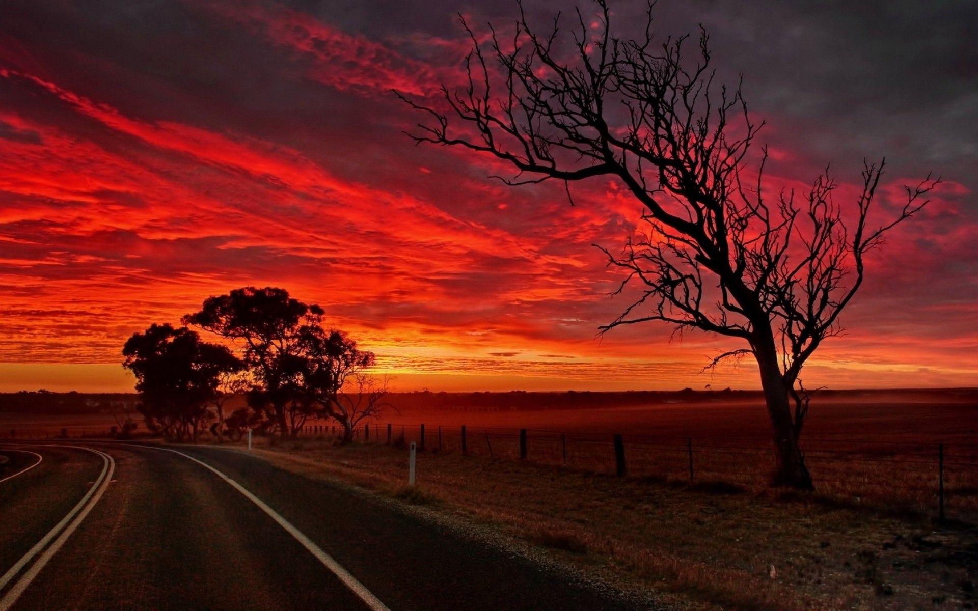 1920x1200 Sunset clouds landscapes Sun trees roads skies orange sky wallpaper