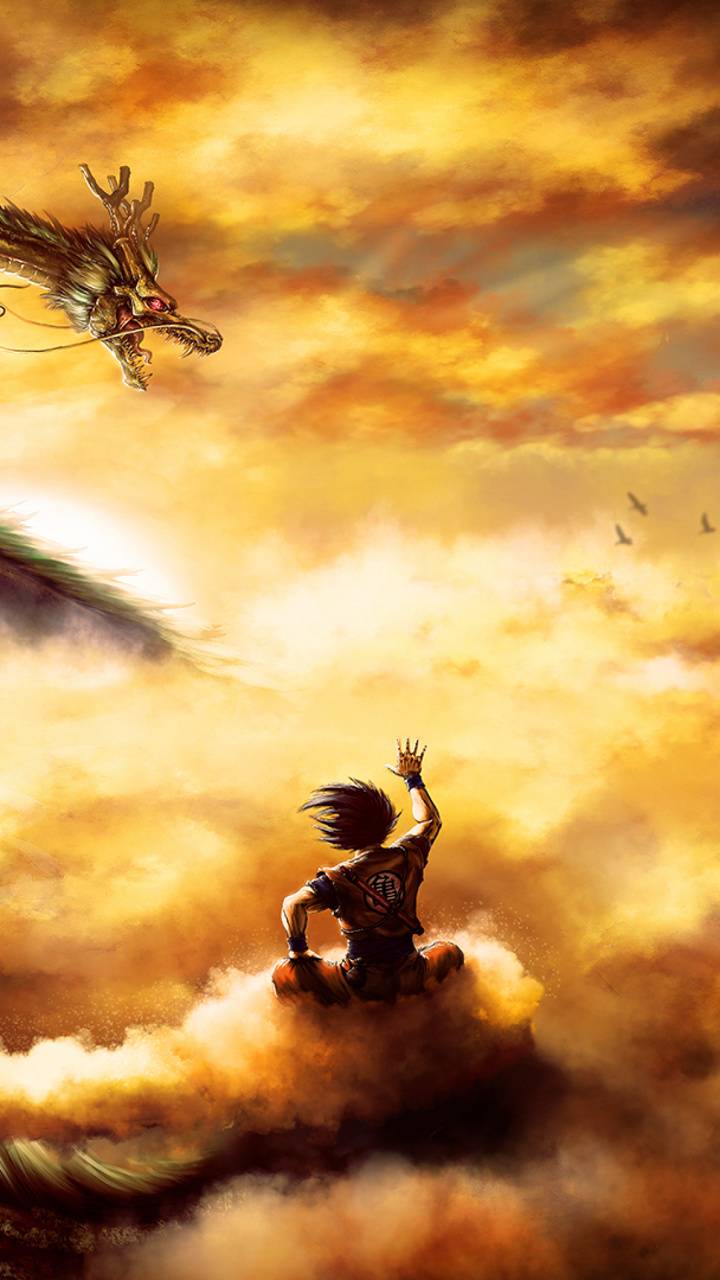 720x1280 Goku on Nimbus wallpaper