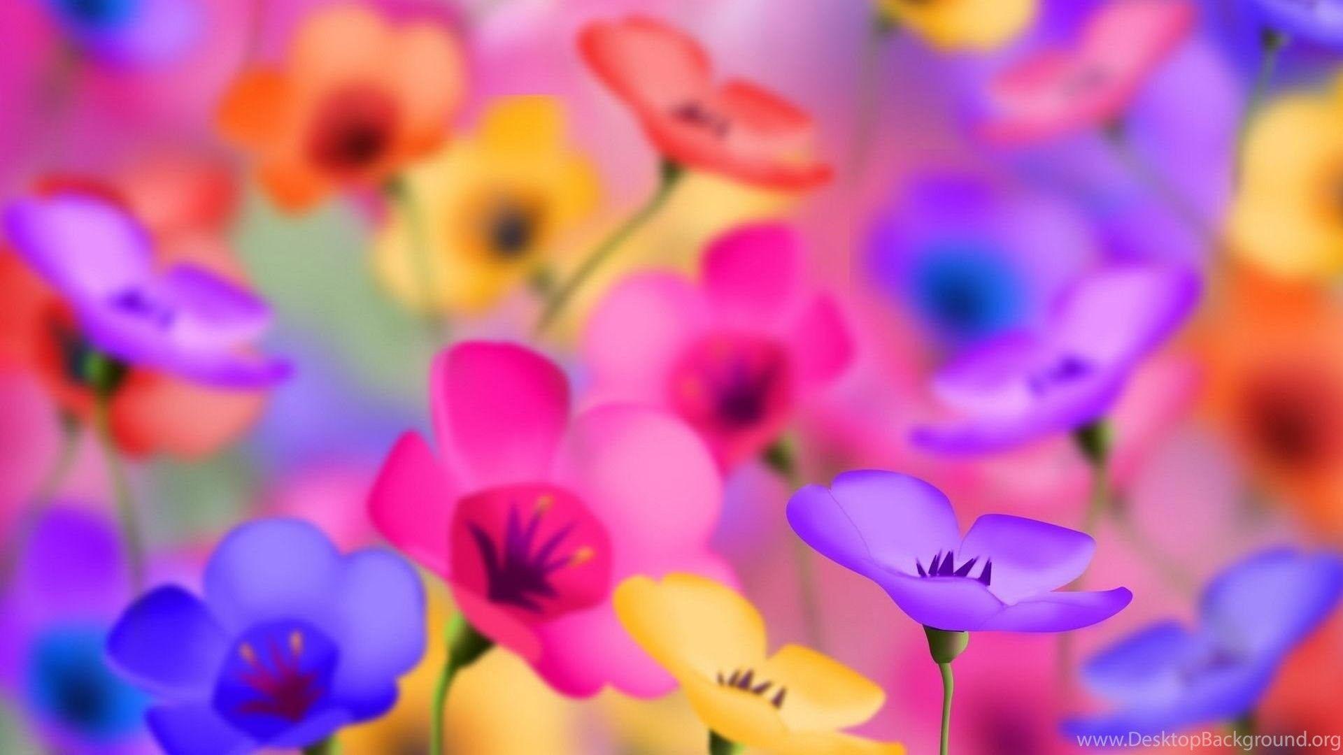 1920x1080 Desktop Wallpaper HD 1920x1080 Flowers #a1337e778268