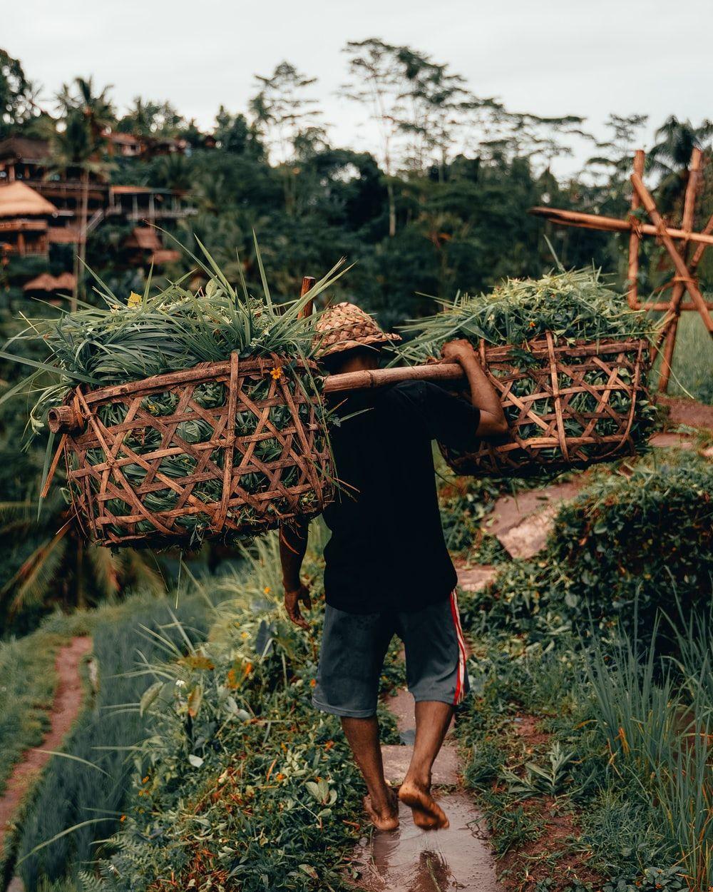 1000x1250 Bali Culture Picture. Download Free Image