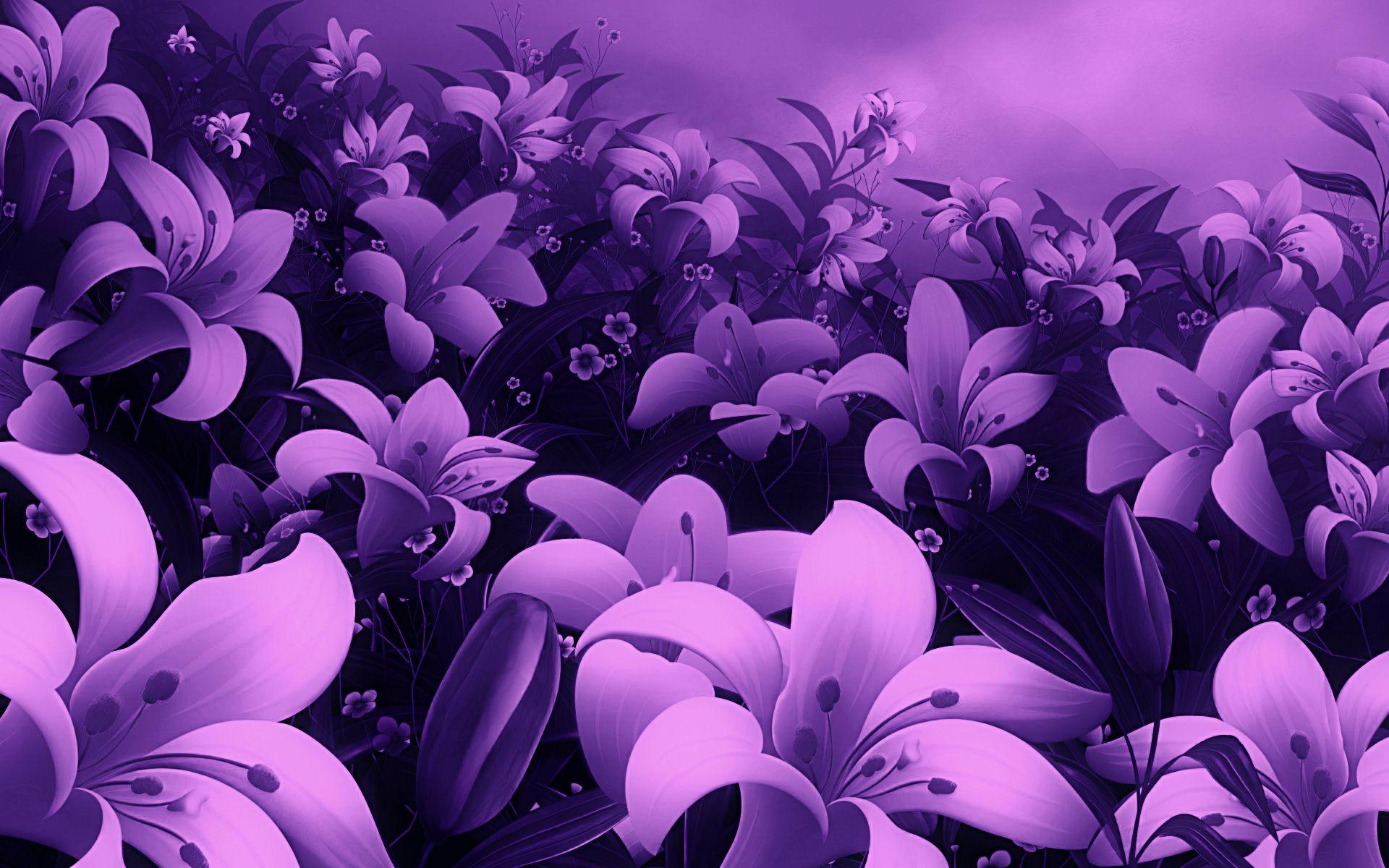 1920x1200 Violet Flowers Desktop Wallpaper