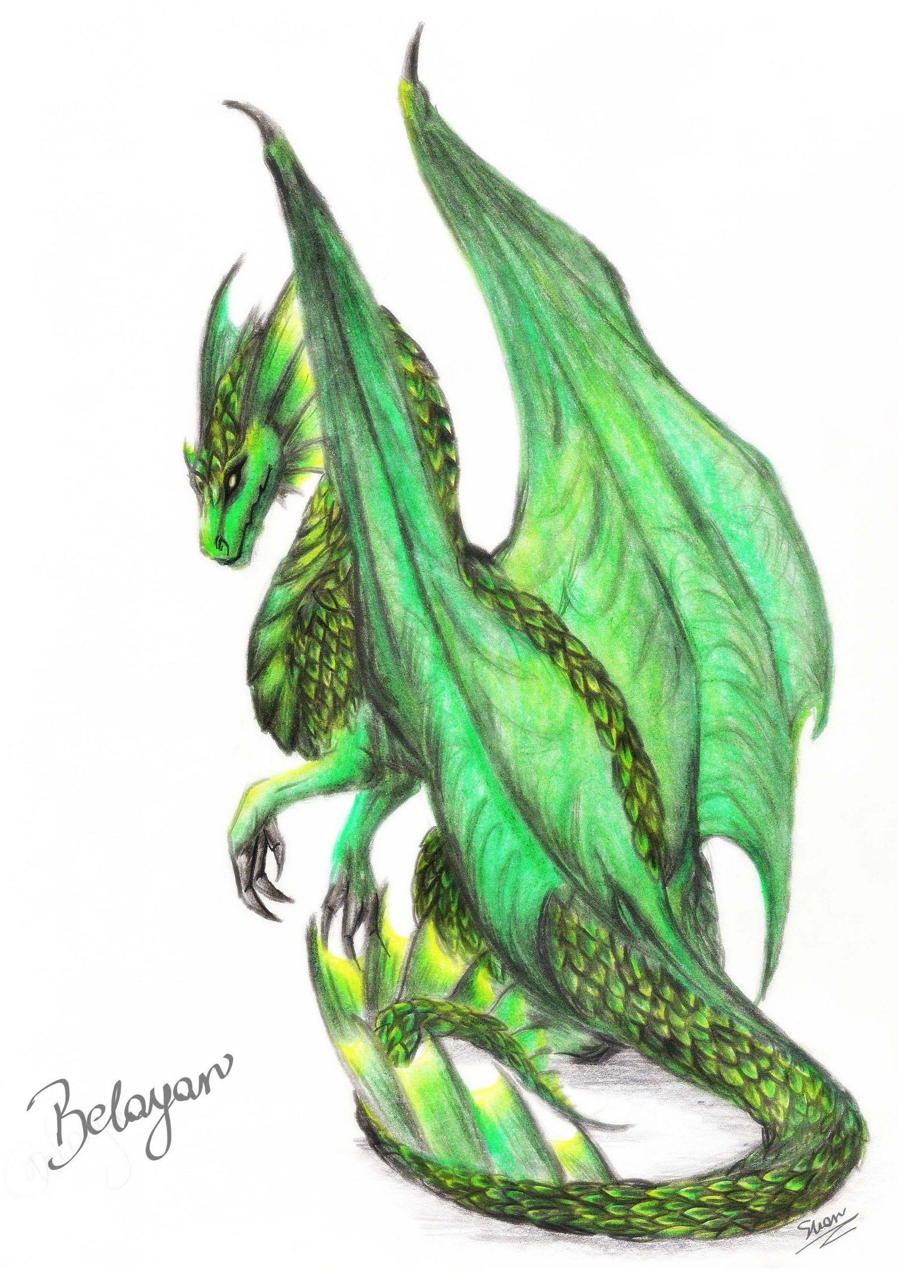 1807x2560 young green dragon art