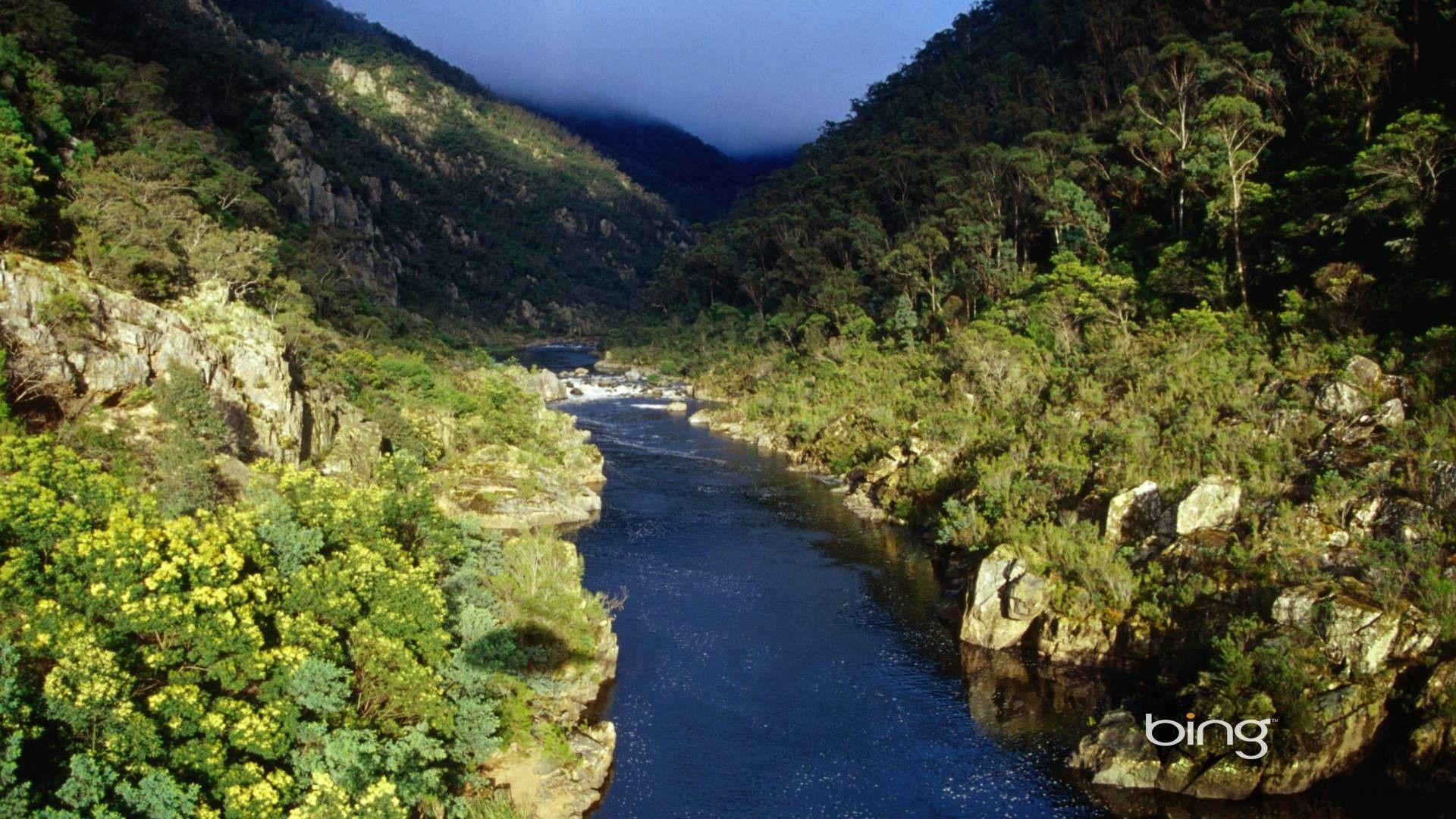 50 Bing Wallpaper Not Changing On Wallpapersafari Genfik Gallery