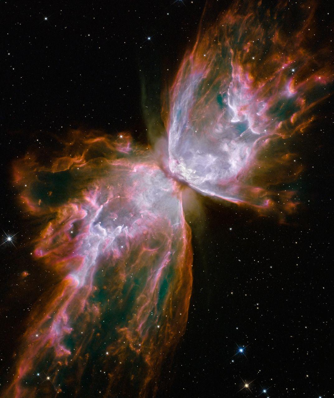 1072x1280 The Butterfly Nebula
