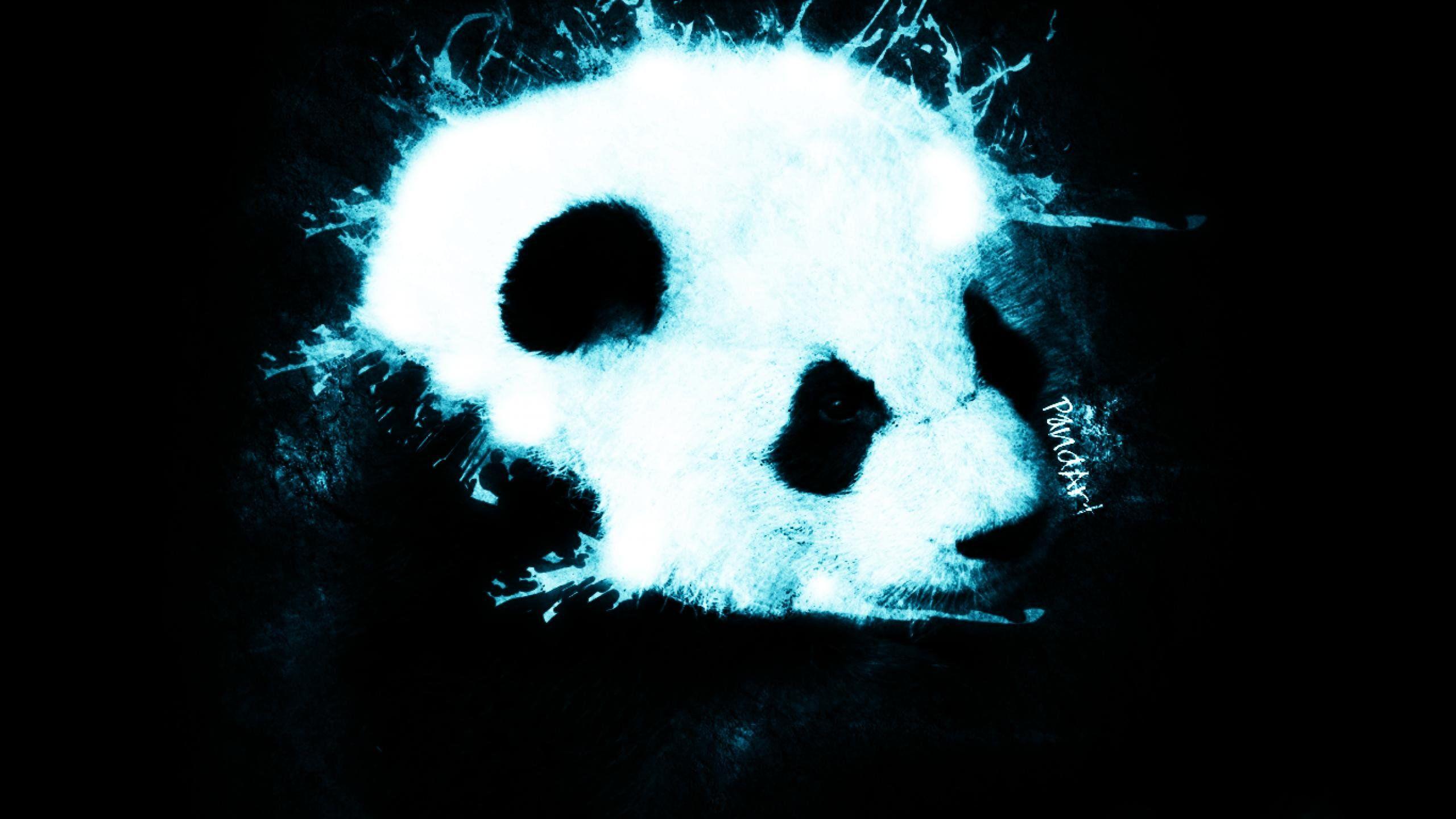 2560x1440 Abstract Panda Desktop Wallpaper 19676