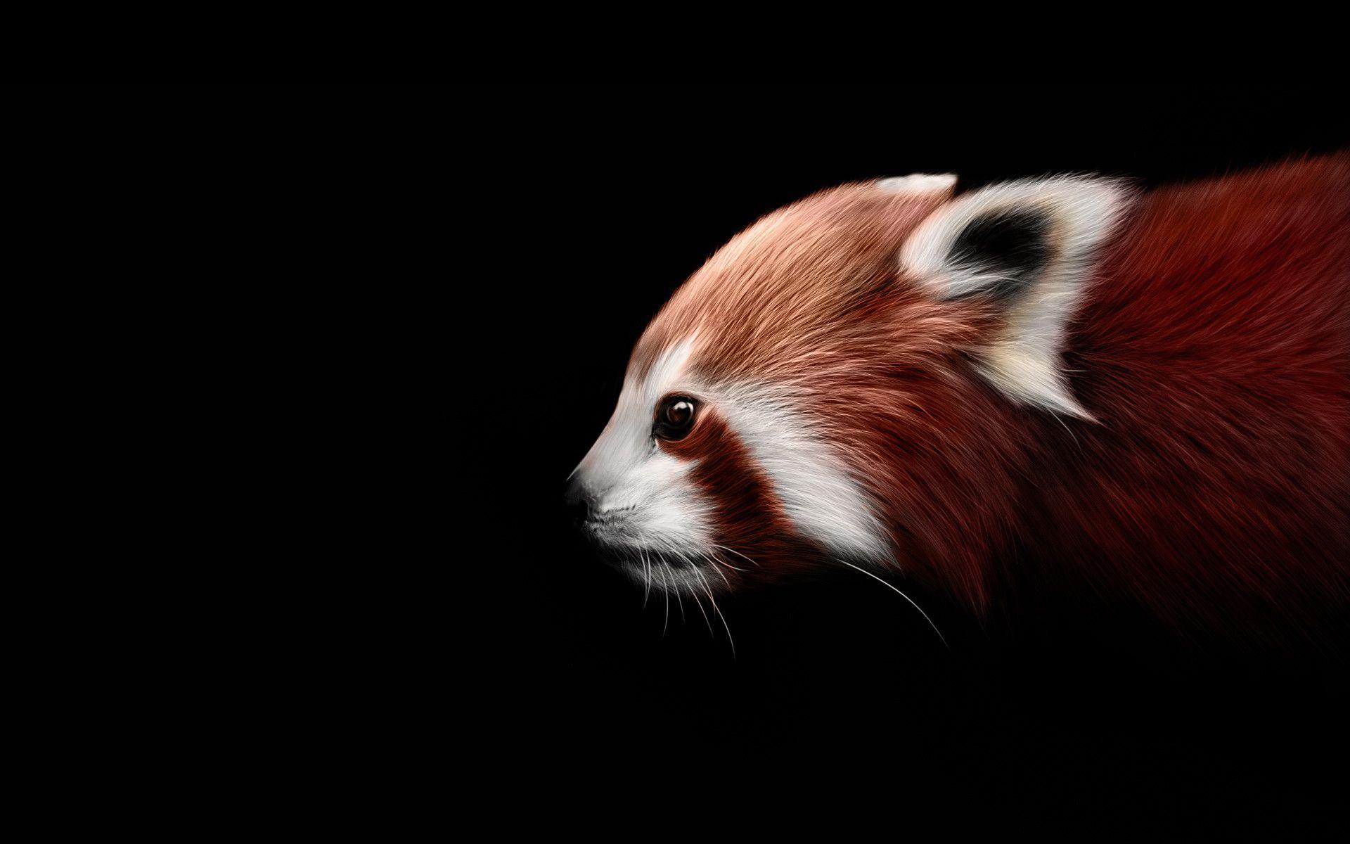 1920x1200 Wallpaper Panda Art
