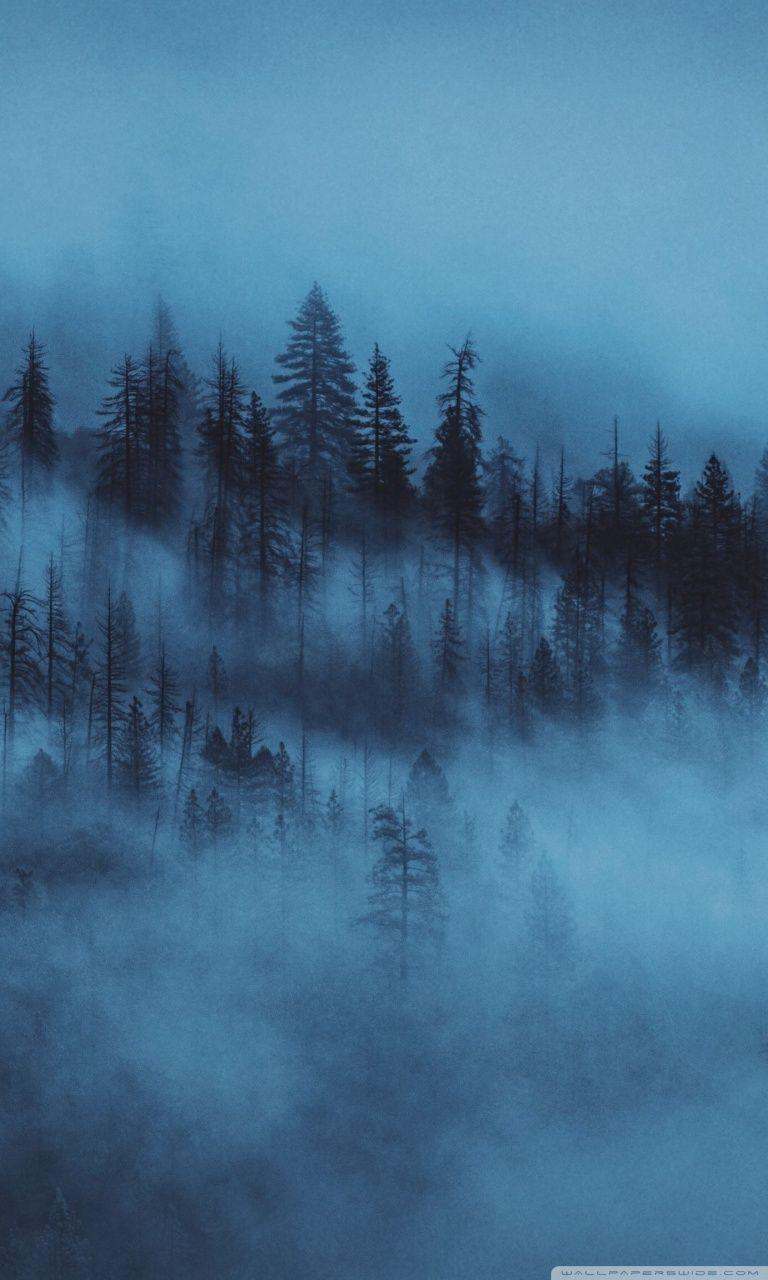 768x1280 Dark Aesthetic Forest iPhone Wallpaper Wallpaper Portal