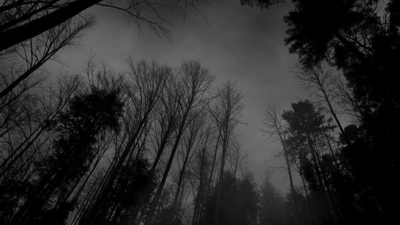 Dark Forest Aesthetic Wallpapers - Top Free Dark Forest Aesthetic