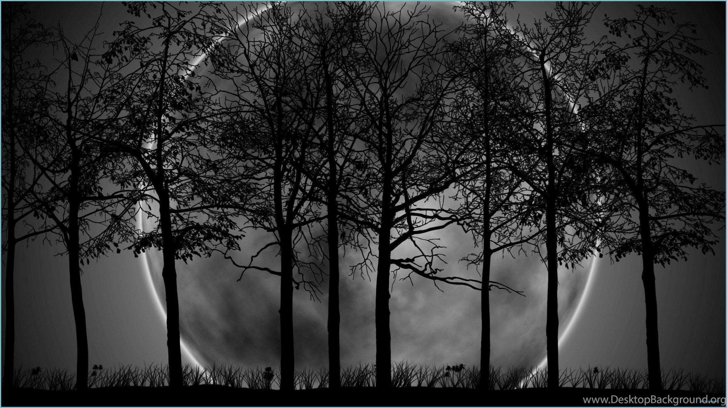 2483x1396 Dark Forest Moon Wallpaper Free Dark Forest Moon Tree Background