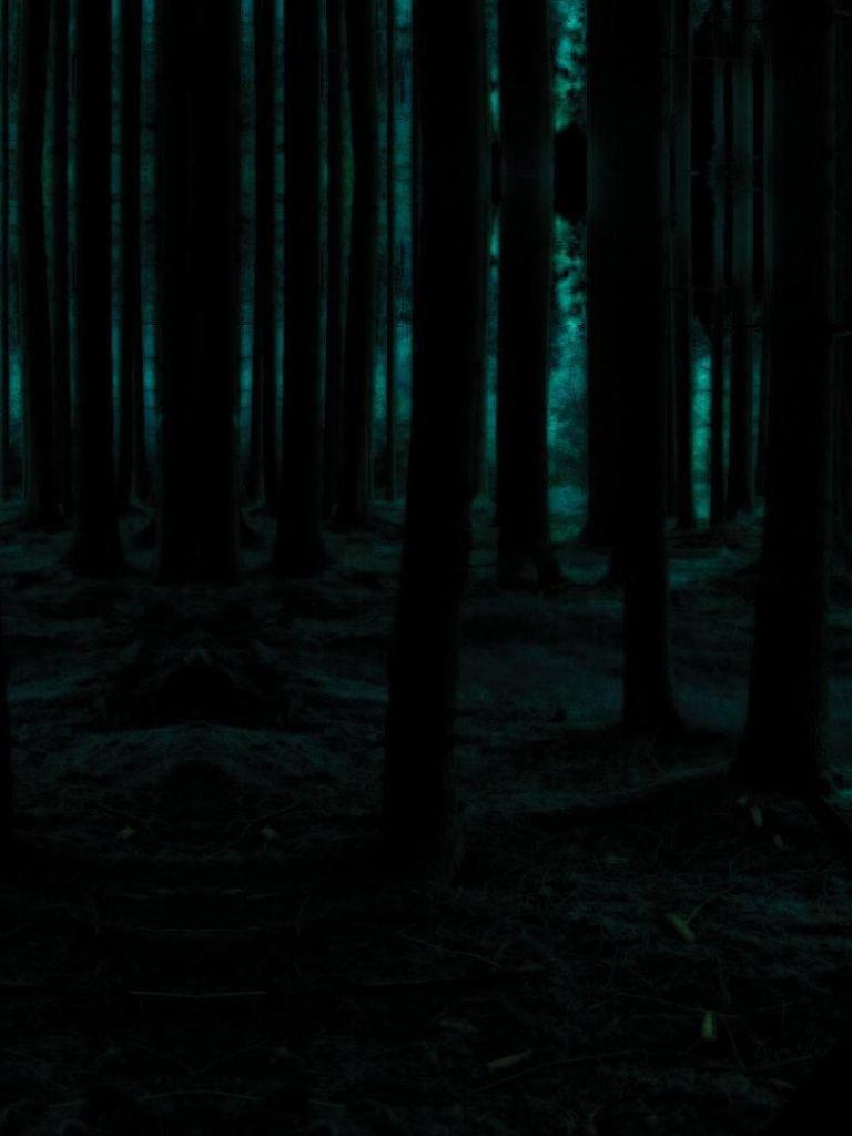 768x1024 Free download Forest HD Wallpaper Background Wallpaper 19201080 Dark Forest [1920x1080] for your Desktop, Mobile & Tablet. Explore 42 Background. Lotus Wallpaper, Babylon 5 Wallpaper, Ohio State Buckeyes Football Wallpaper