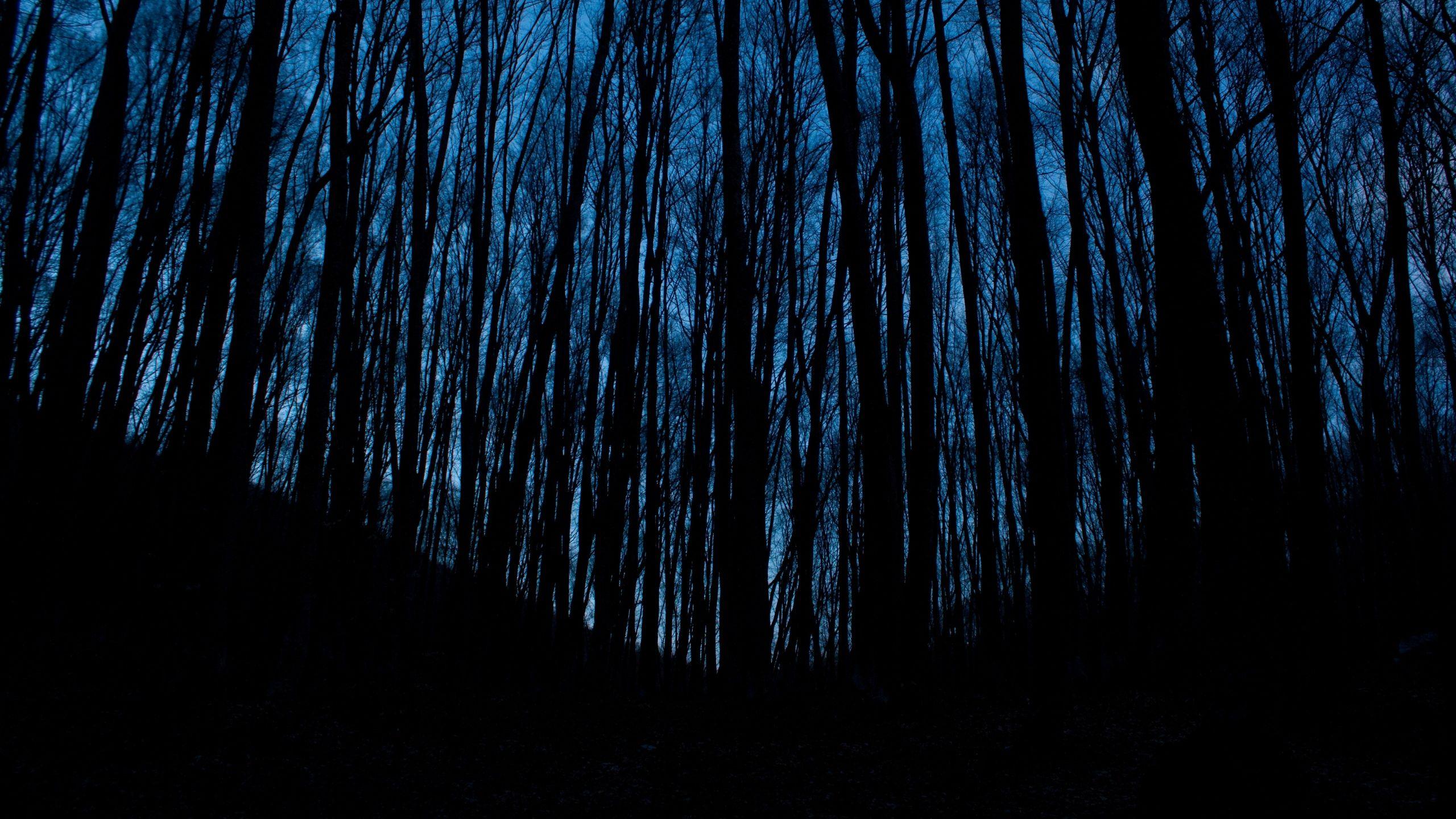 2560x1440 Aesthetic Background Dark Blue HD Wallpaper