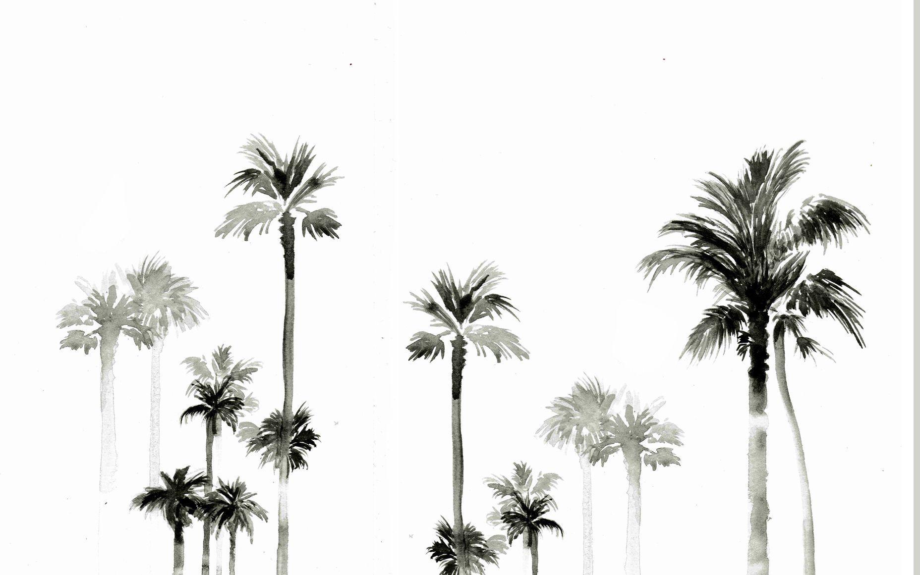 1856x1161 Palm Tree Desktop Wallpaper