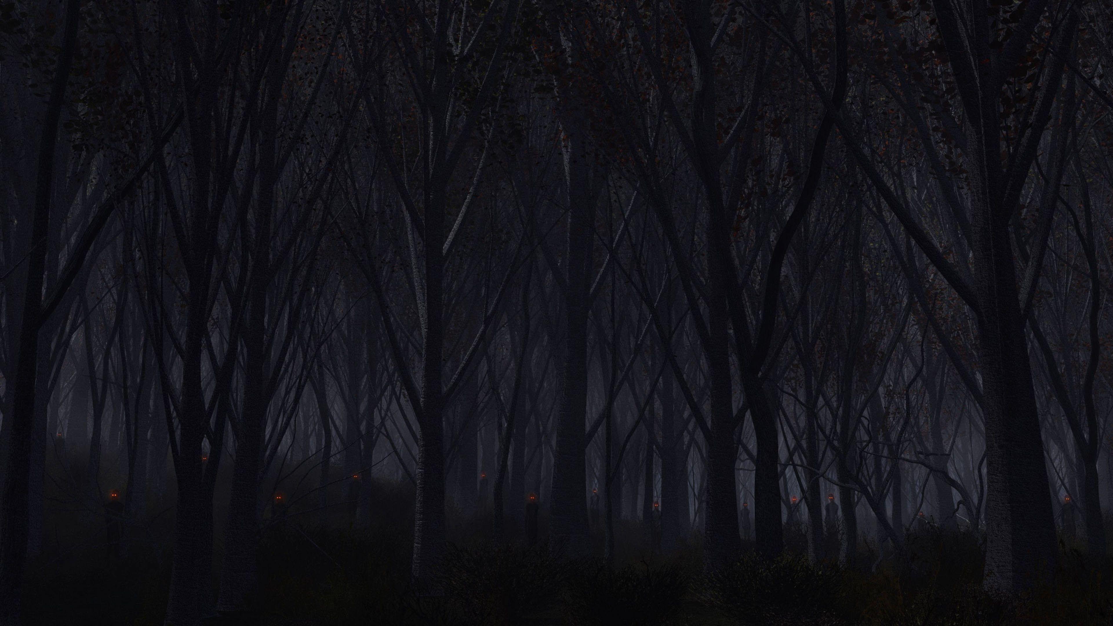 3840x2160 1080p Black Forest Wallpaper HD