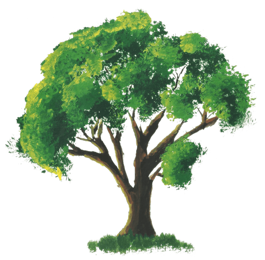 901x887 Stock Tree painting. Watercolor trees, Watercolor paintings easy, Watercolor paintings for beginners
