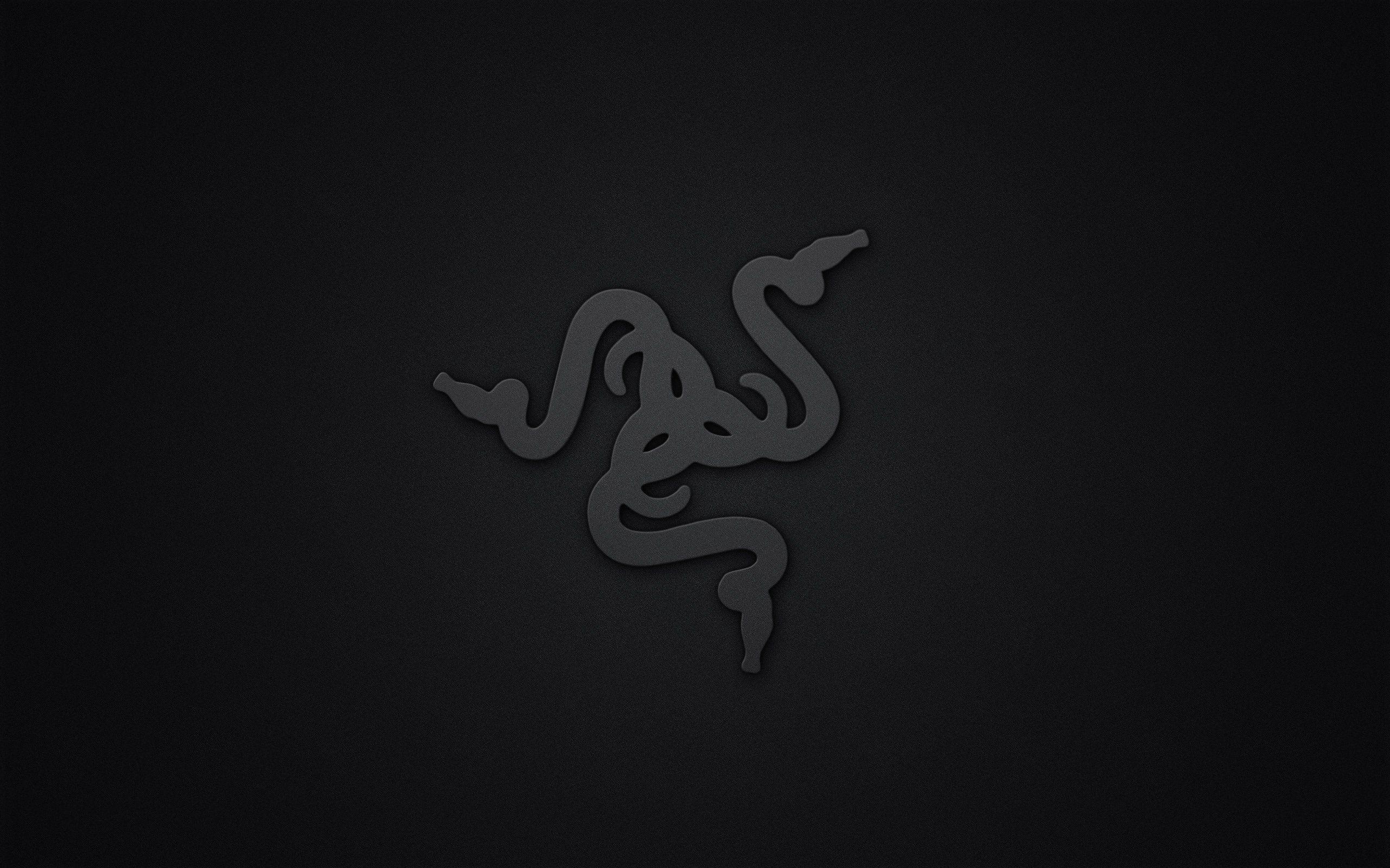 2560x1600 Razer Black Wallpaper