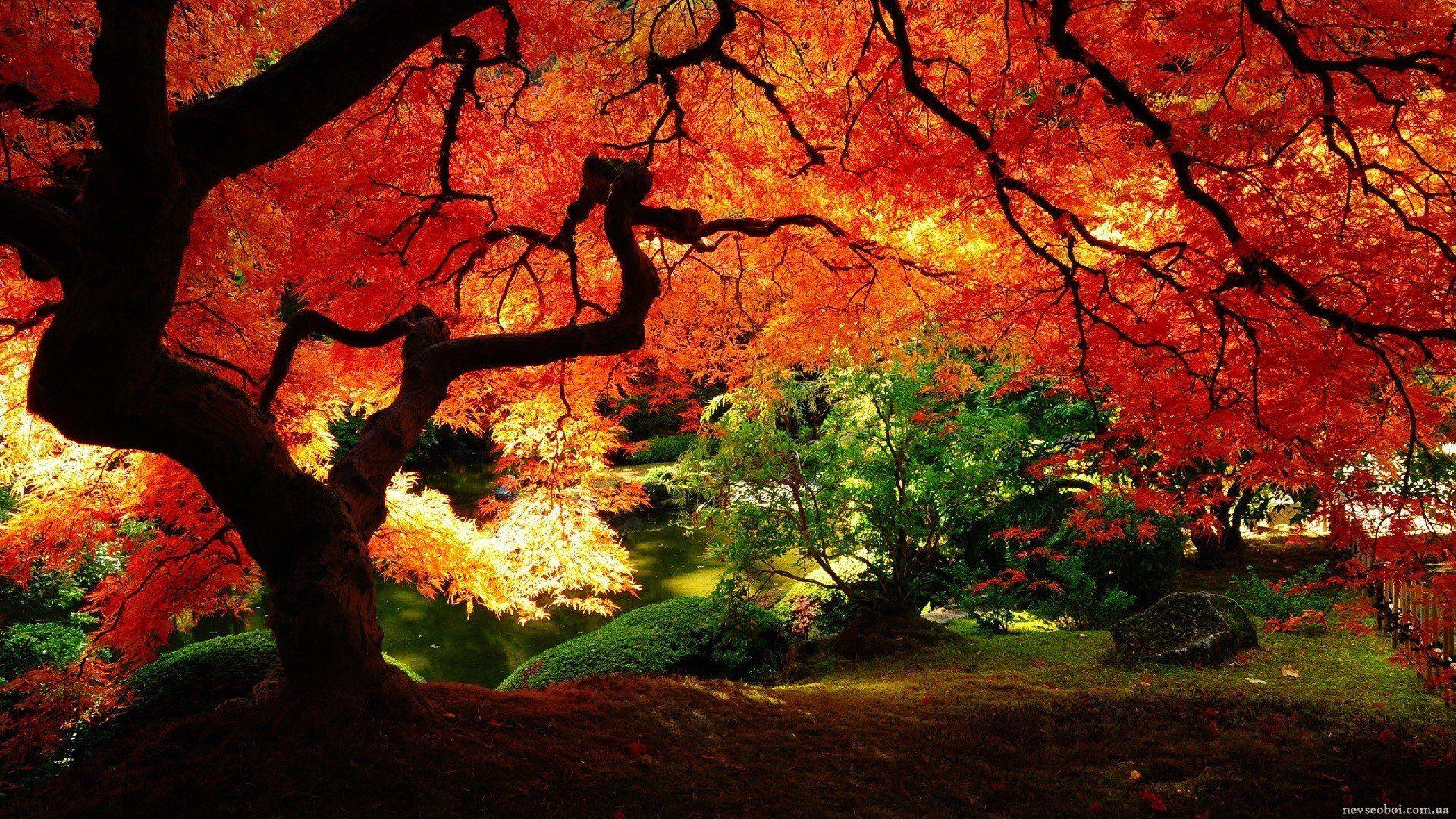 1920x1080 garden, Old, Asia, Red Wallpaper HD / Desktop and Mobile Background
