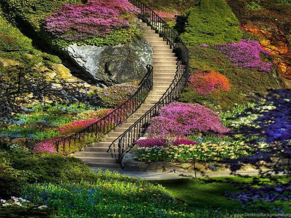 1024x768 Landscape Chinese Garden Wallpaper