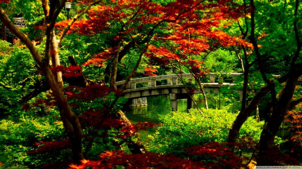 1284x721 Garden Desktop Wallpaper
