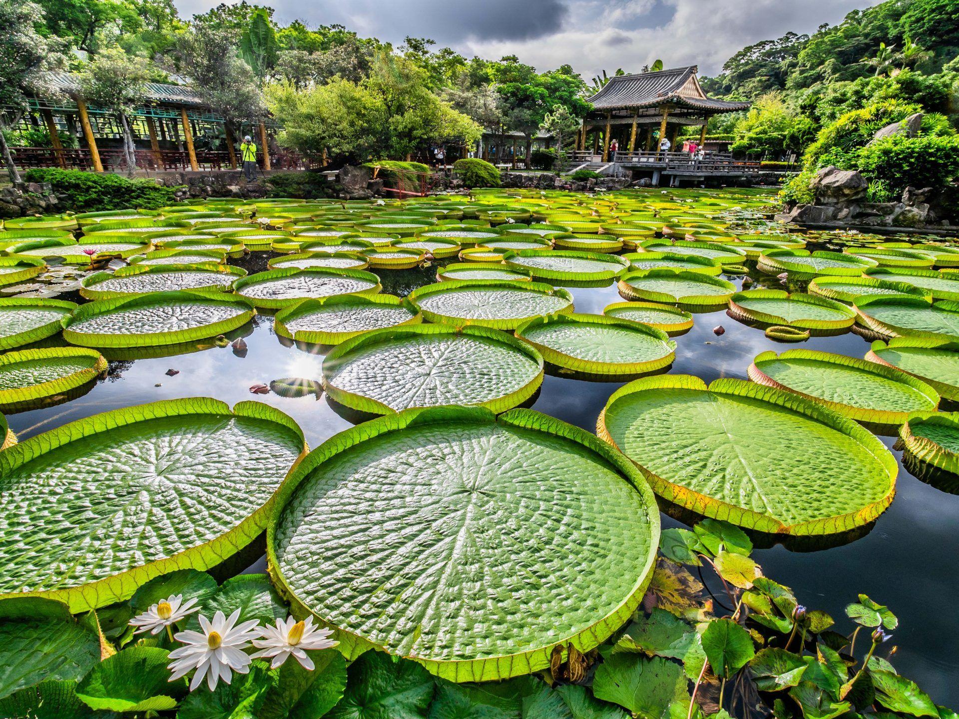1920x1440 Landscape Chinese Garden Wallpaper