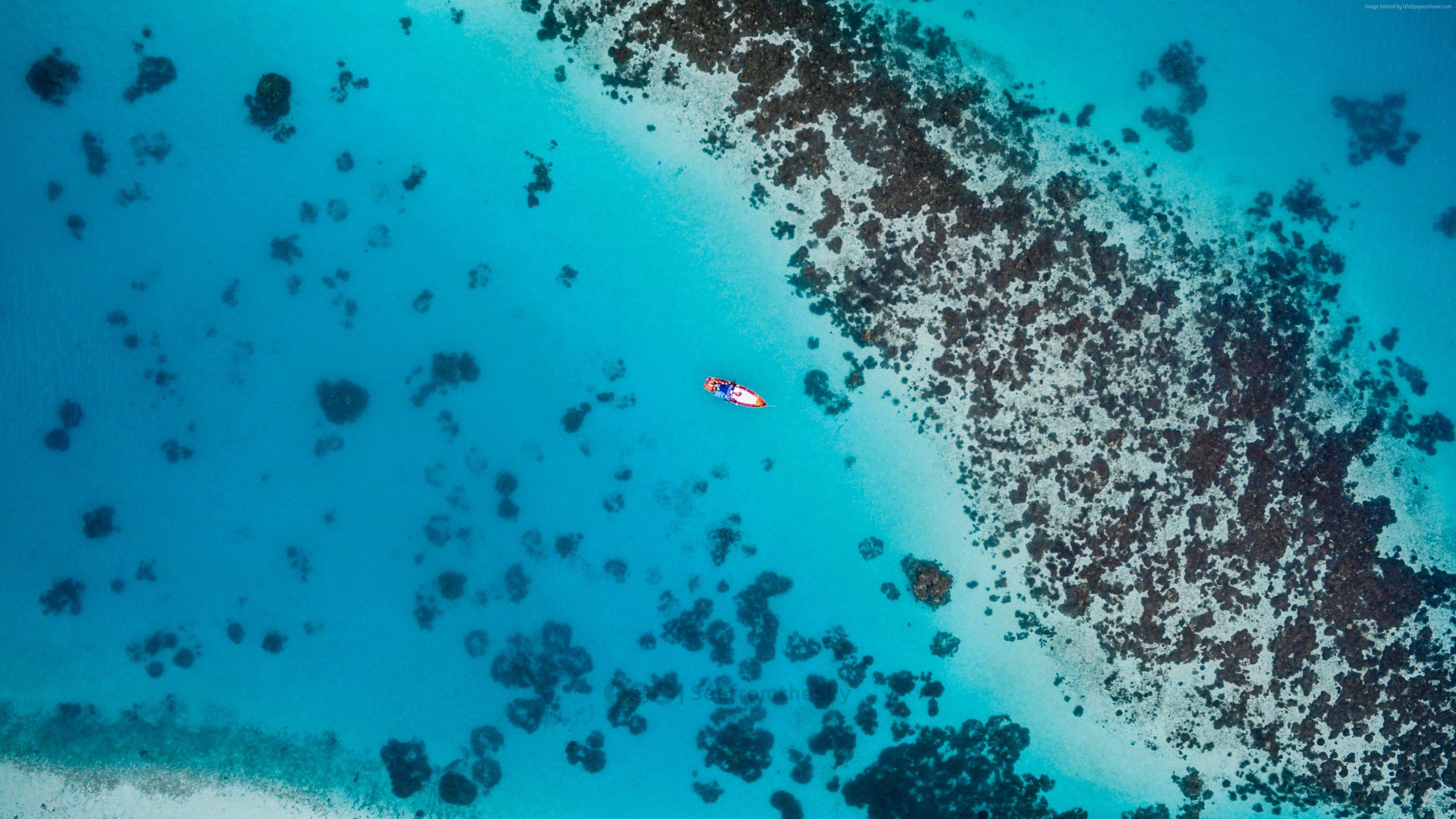 3840x2160 Wallpaper Beach, 5k, 4k Wallpaper, Sea, Nature Barrier Reef Drone Shots HD Wallpaper