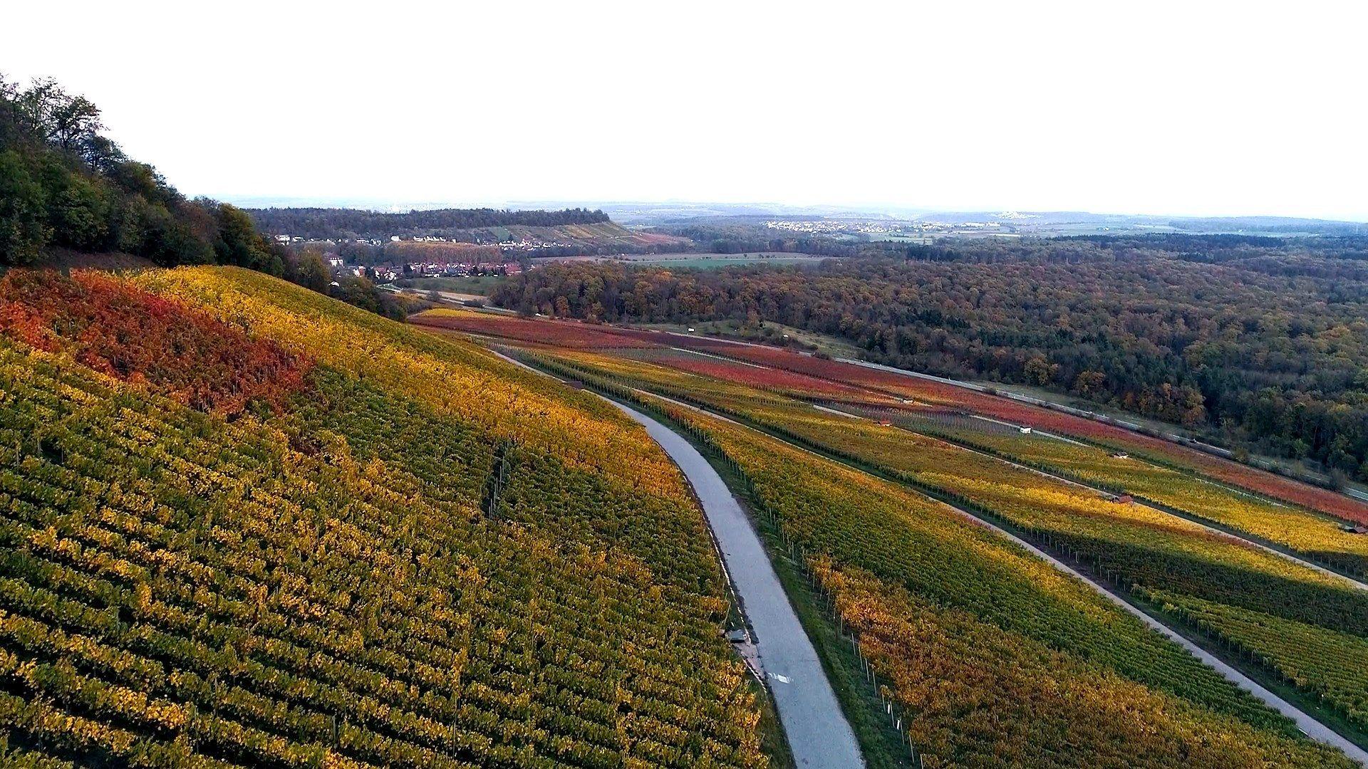 1920x1080 Colorful Fields, Forest and Vineyard in South Germany PLUS DJI Phantom Pro 4K Drone Footage