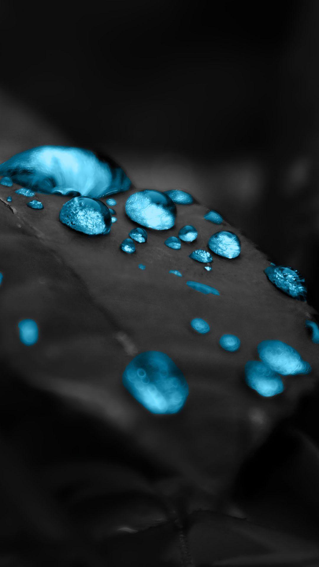 1080x1920 Black Leaves Blue Drops 4K Wallpaper