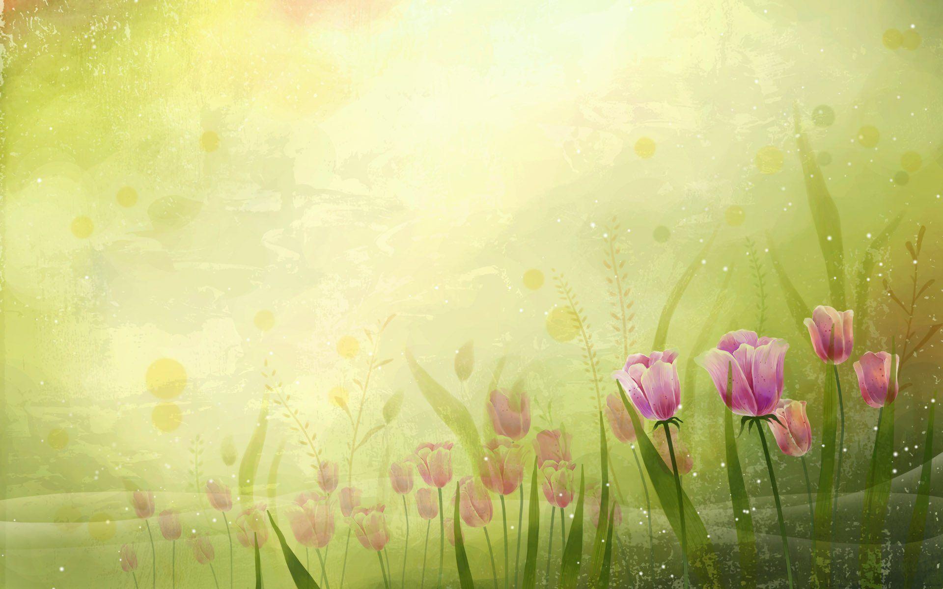 1920x1200 Tulips Desktop Wallpaper