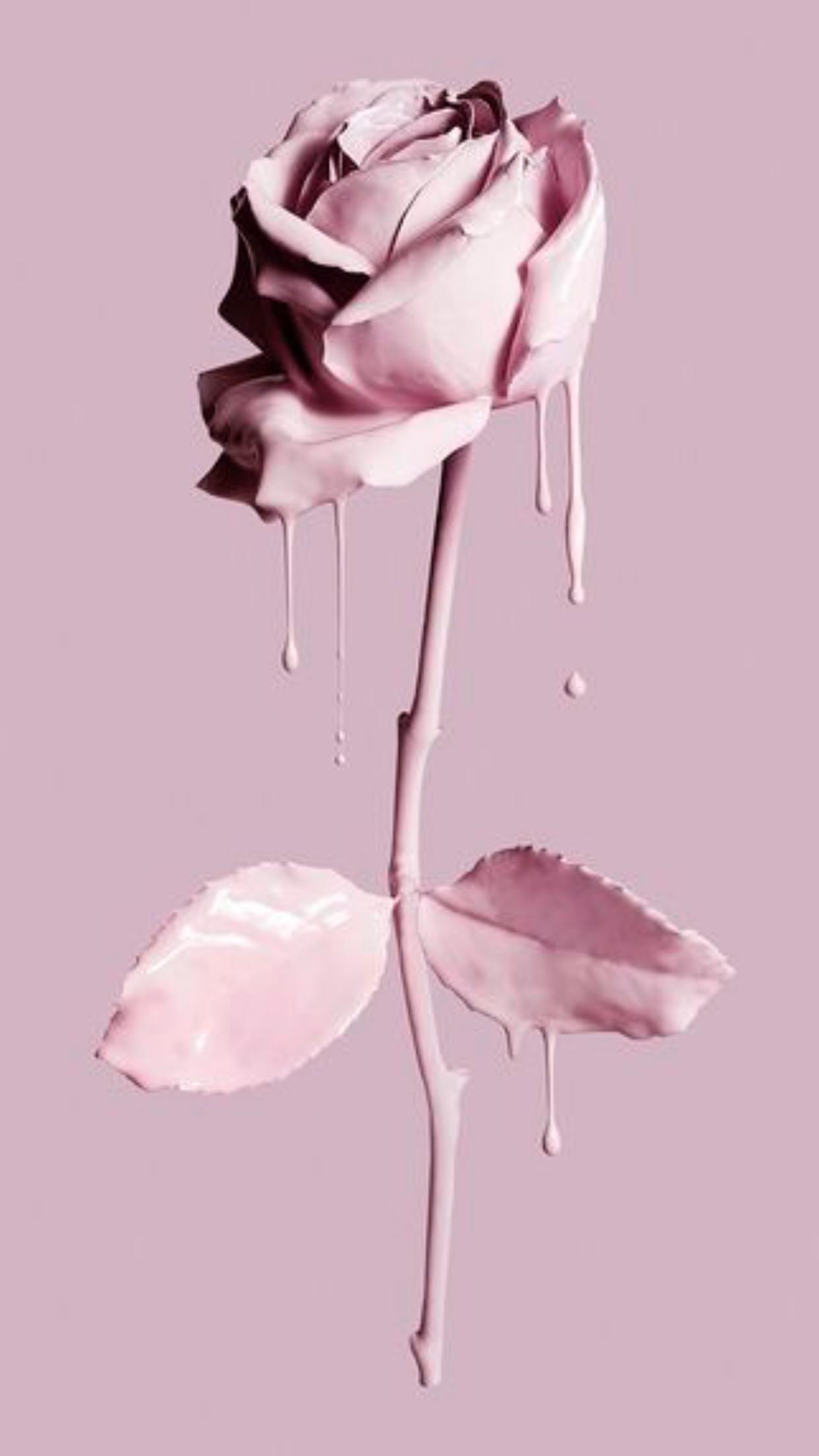1242x2208 Vintage Rose iPhone Wallpaper