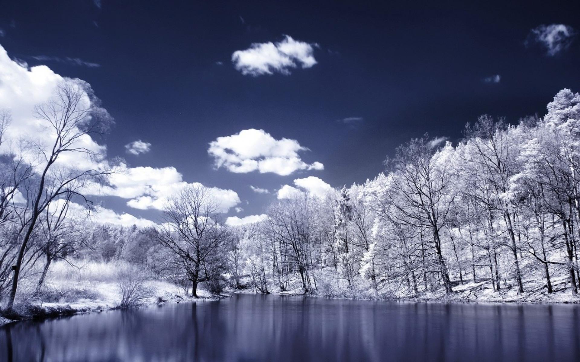 1920x1200 Winter Widescreen Wallpaper