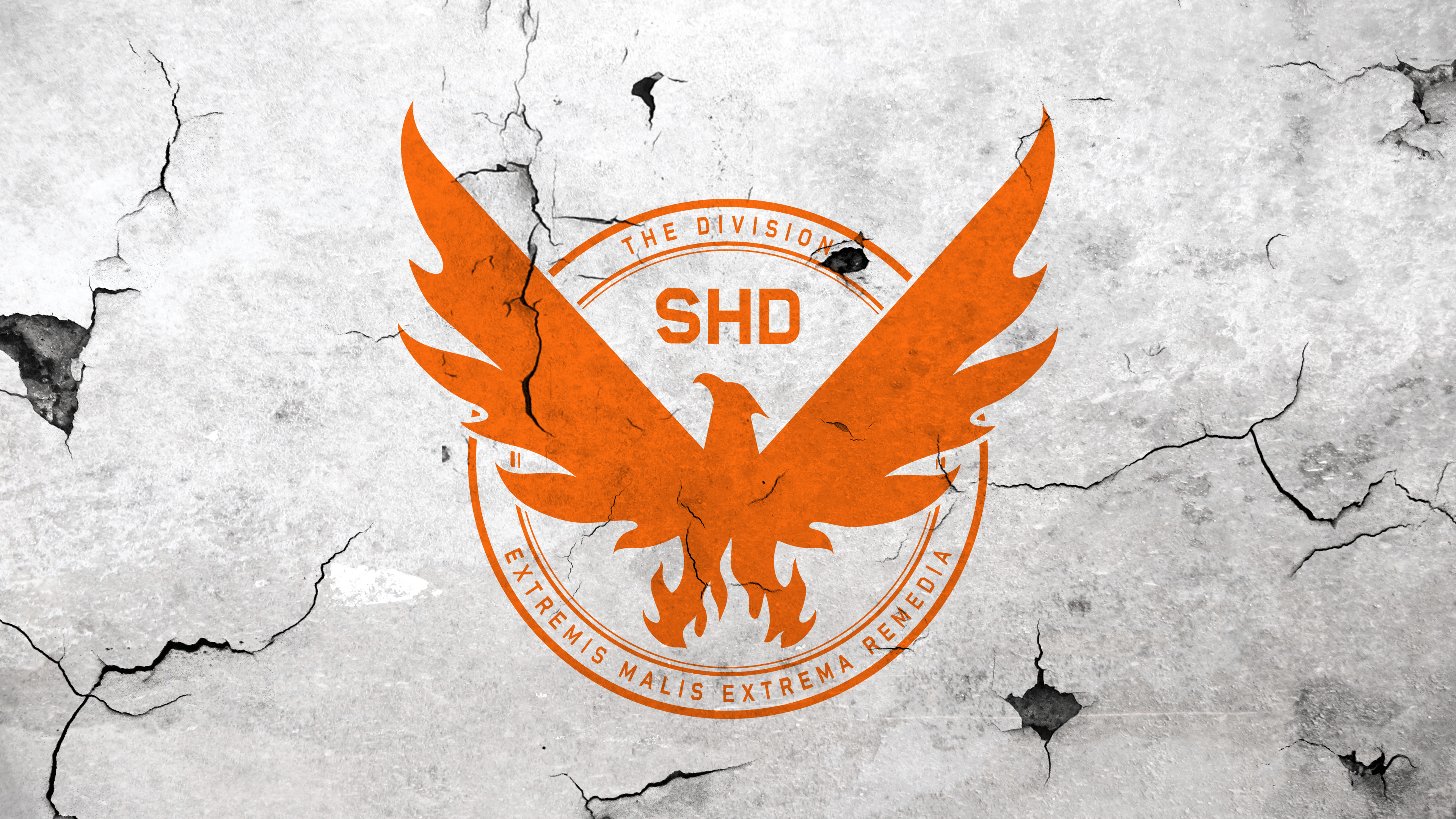 3840x2160 Division 2 Wallpaper