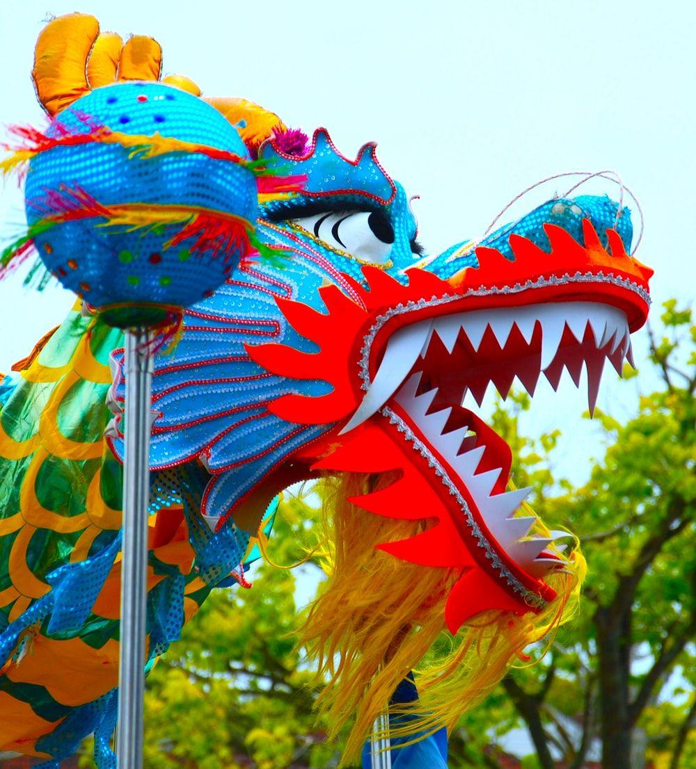 1000x1106 Chinese Dragon Picture. Download Free Image