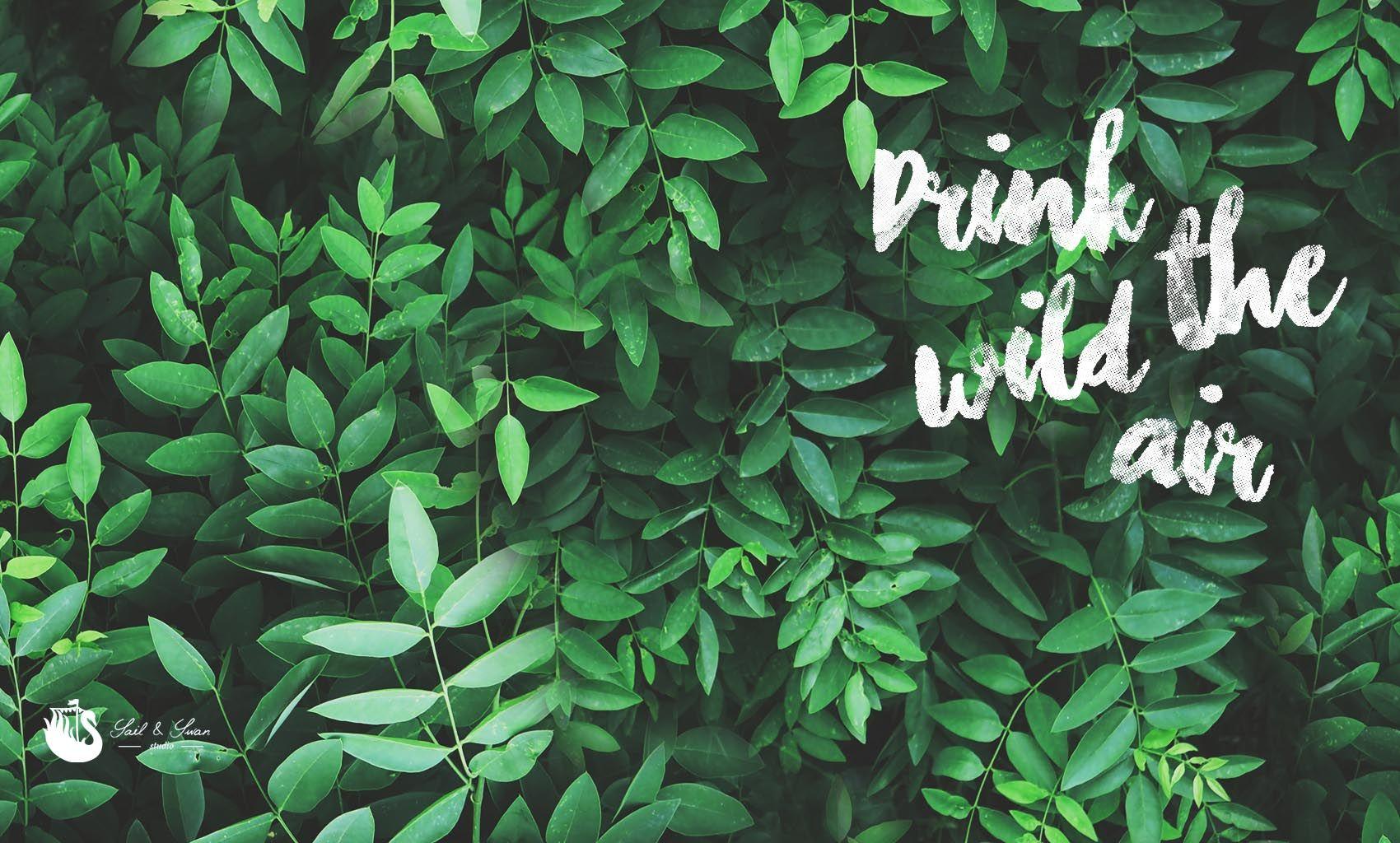 1700x1024 Green Aesthetic Computer Wallpaper