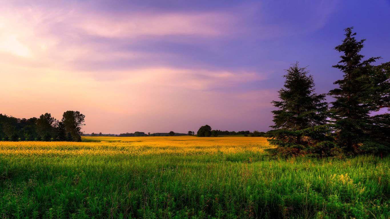 1366x768 Nature HD Wallpaper For Deskk 3D Nature Beautiful