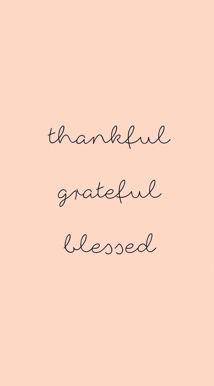 736x1328 Thankful peace quotes Cute everyday thankful quote