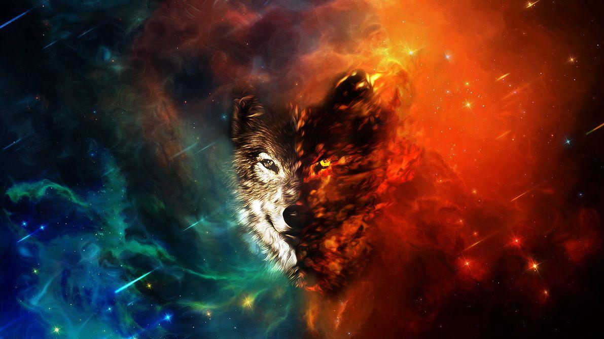 1191x670 Wolf Wallpaper HD (24)