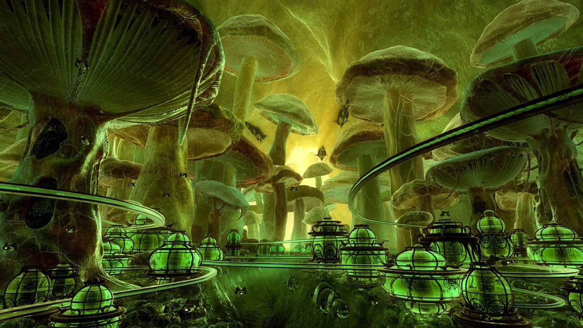 Fantasy Mushroom Wallpapers - Top Free Fantasy Mushroom Backgrounds