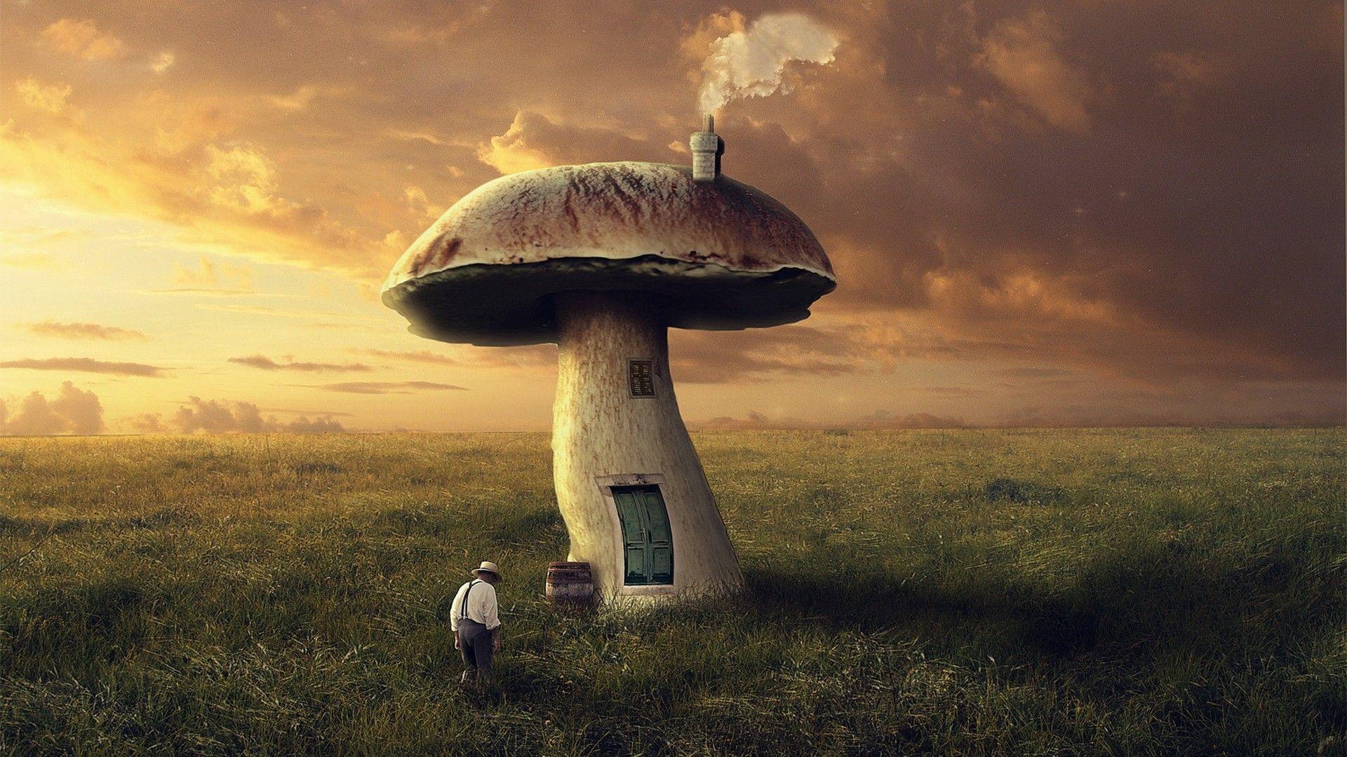 1920x1080 The house is in mushroom wallpaper and image, picture, photo