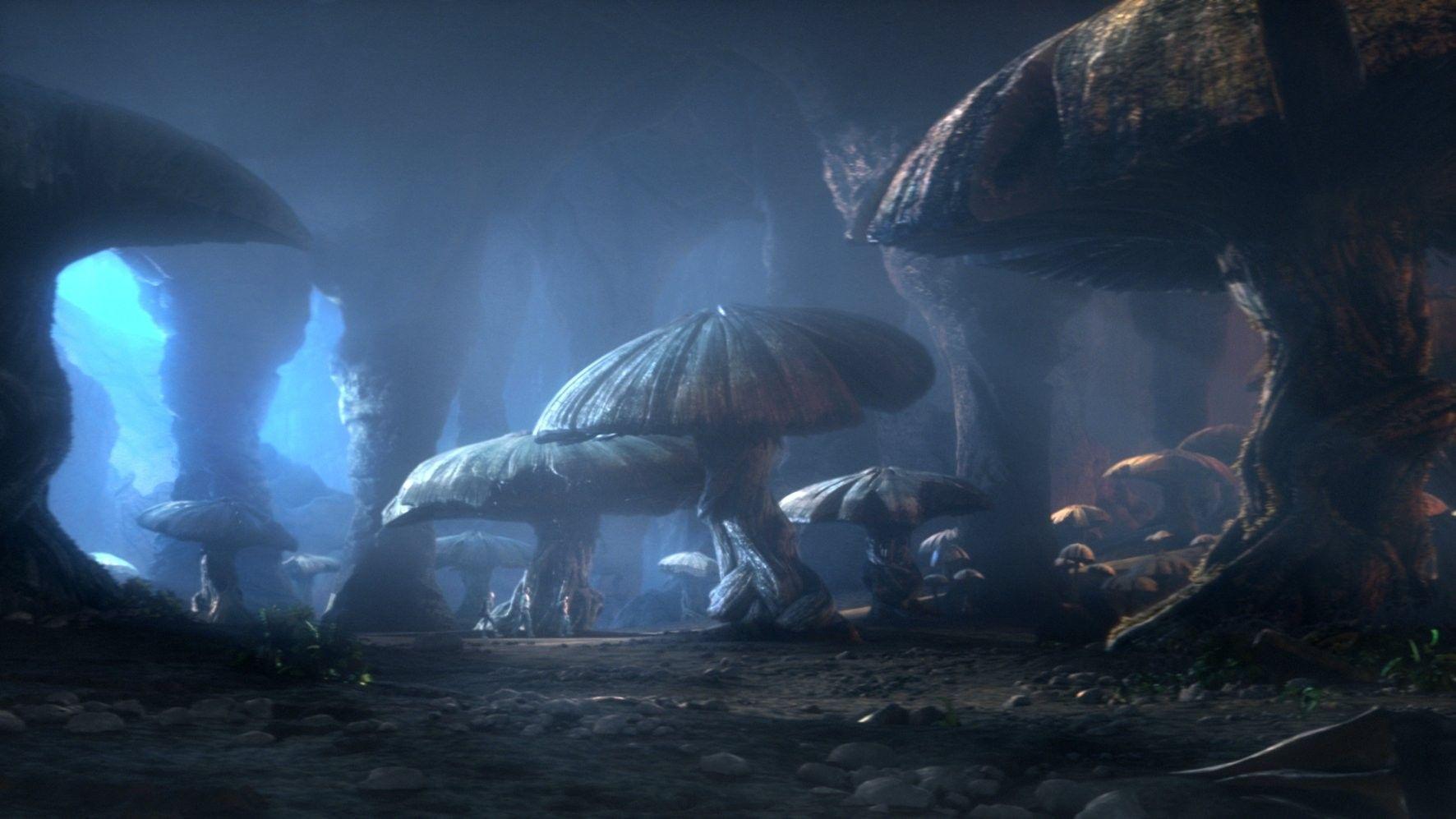 1772x997 Mushrooms Wallpaper Wallpaper Superior Mushrooms Wallpaper Background