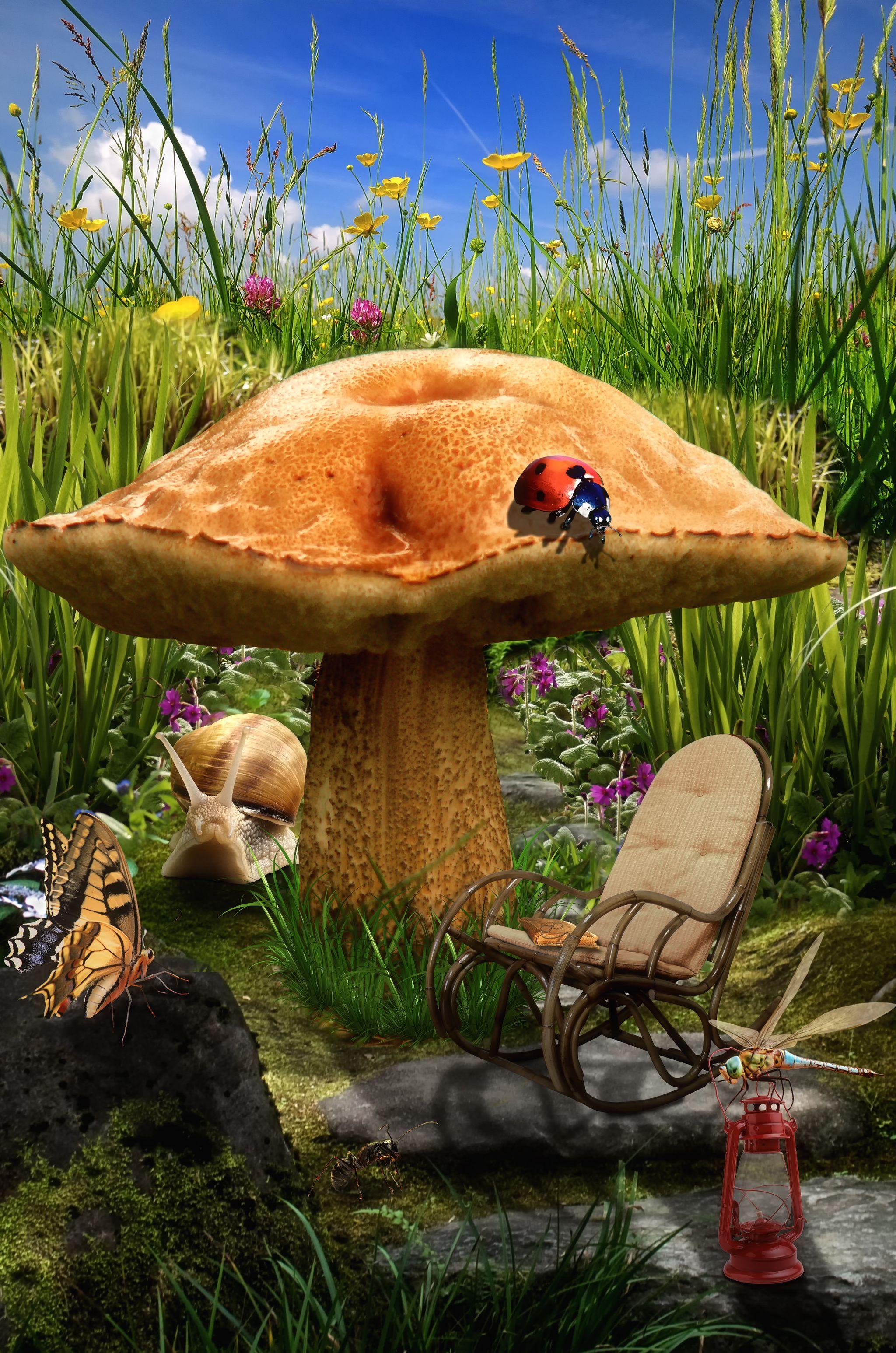 2048x3092 Mushroom fairy house04. Mushroom art, Pretty background, Cellphone wallpaper