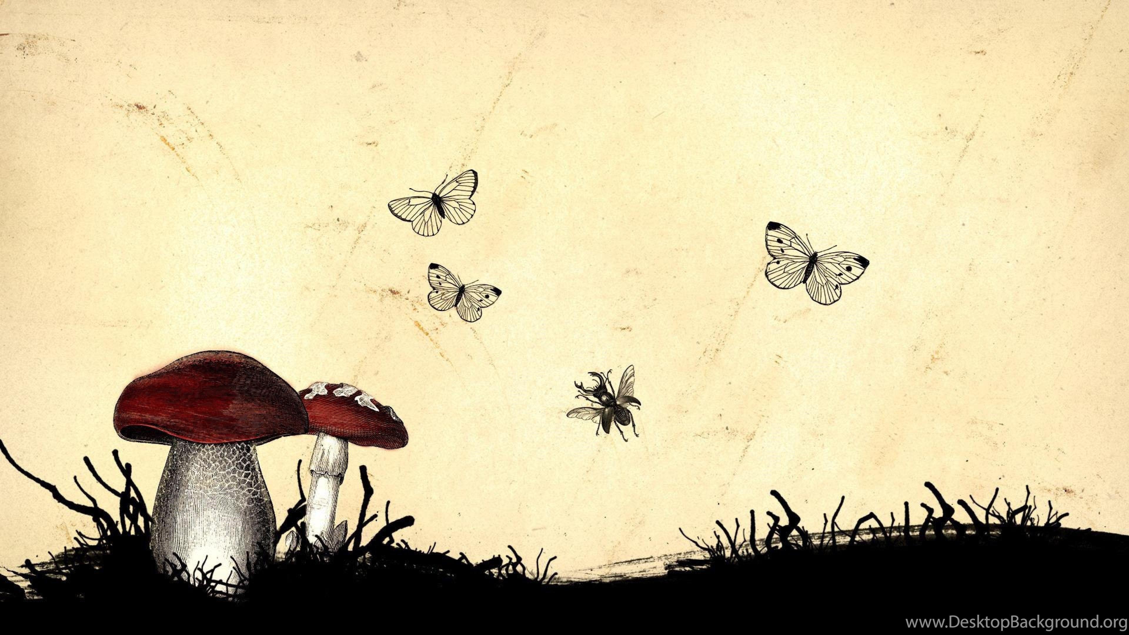 3840x2160 Magic Mushroom Wallpaper Wallpaper