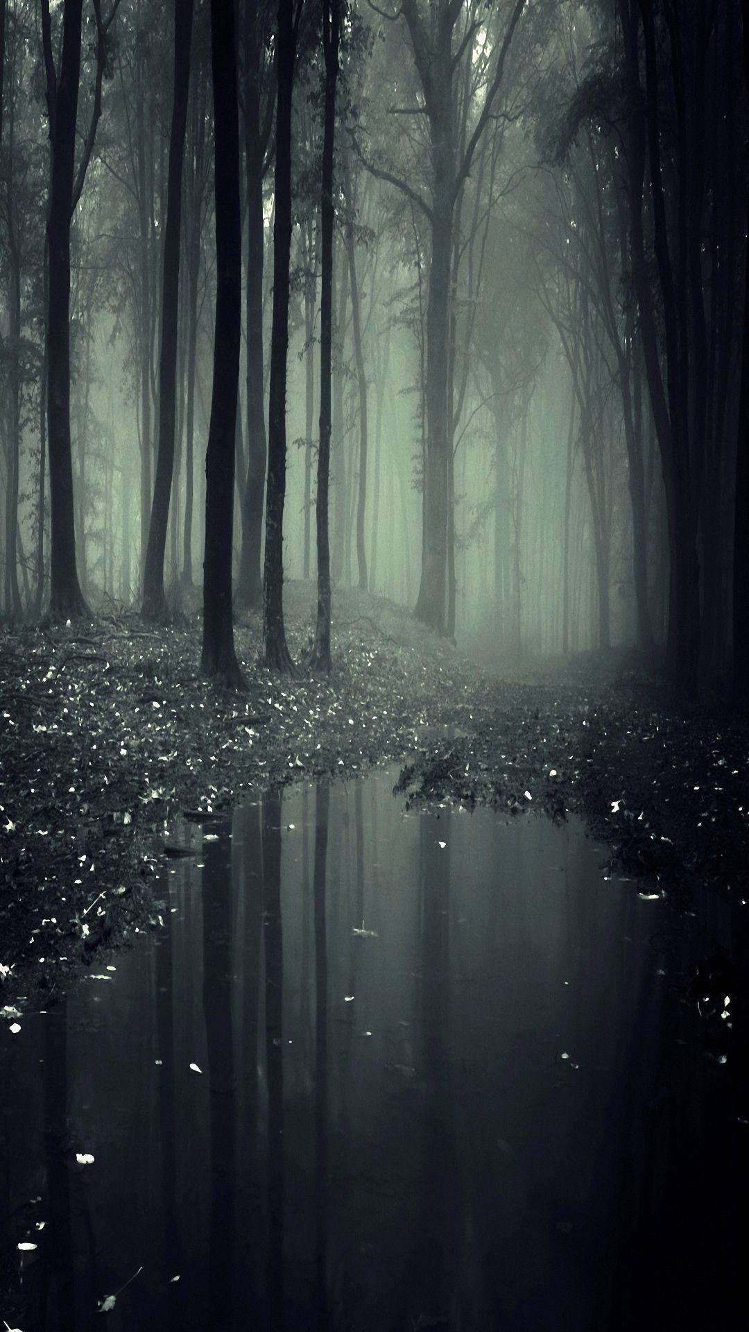 1080x1920 HD 1080x1920 jungle galaxy s4 s5 wallpaper 1080x1920. Landscape wallpaper, Forest wallpaper, Dark wallpaper