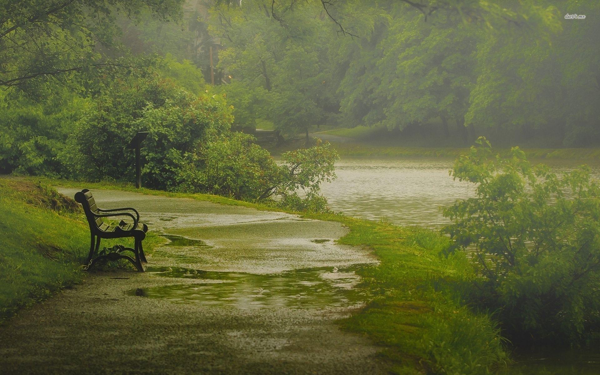 1920x1200 rainy day in the woods. Photography inspiration nature, Rain wallpaper, Nature photography