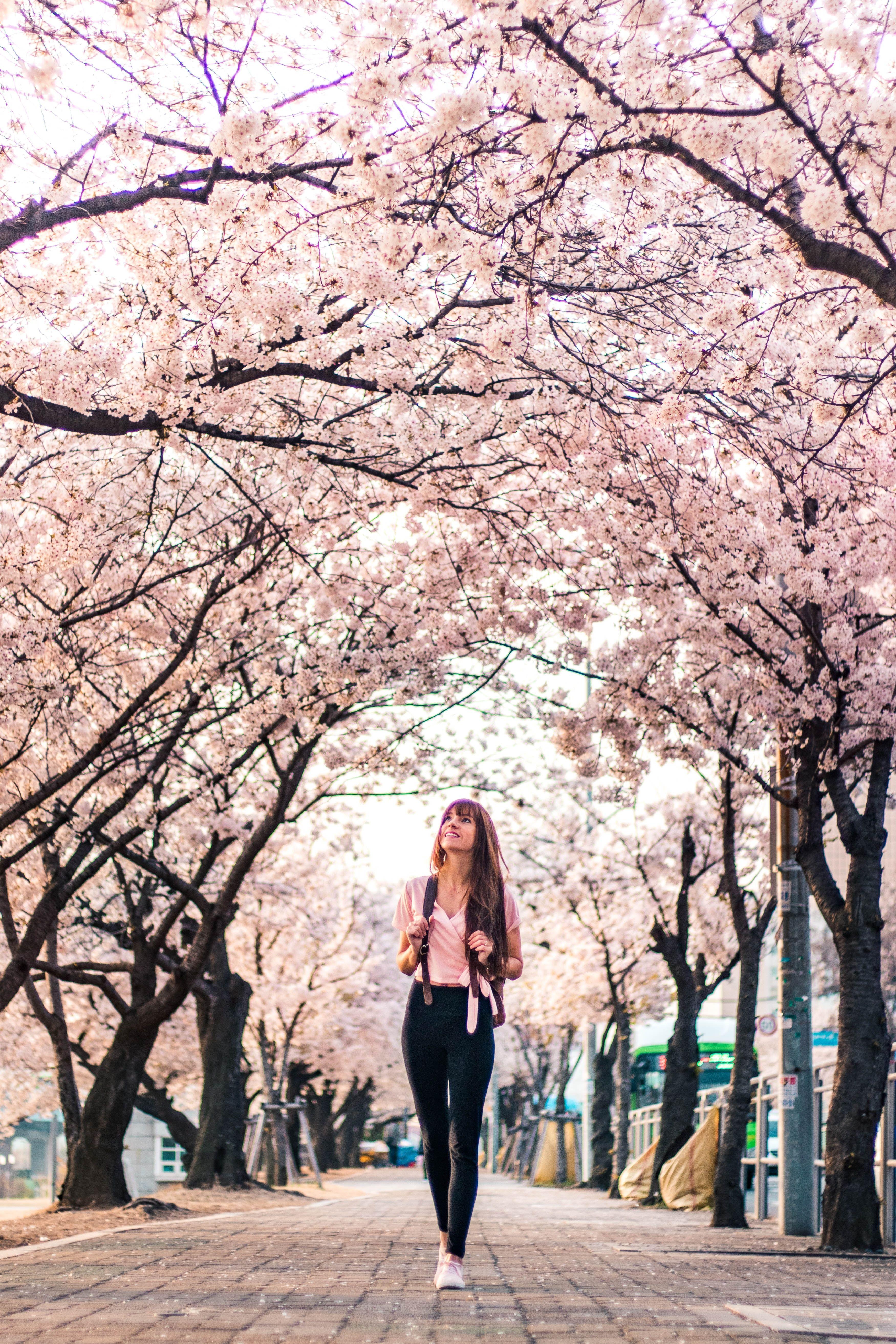 3501x5251 Woman in Black Jacket Standing Under White Cherry Blossom Tree · Free