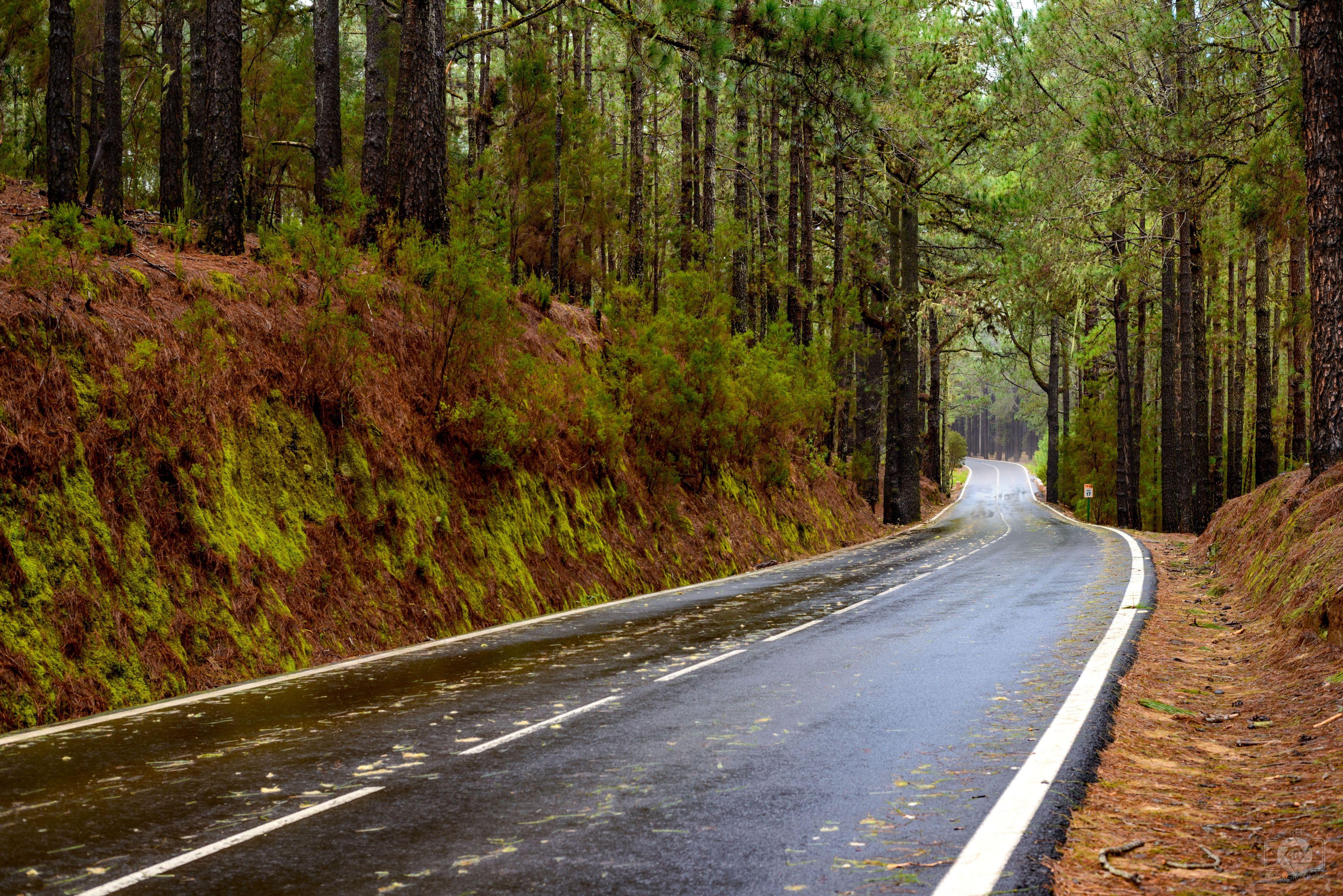 3840x2562 Rainy Mountain Road Background Quality Free Background