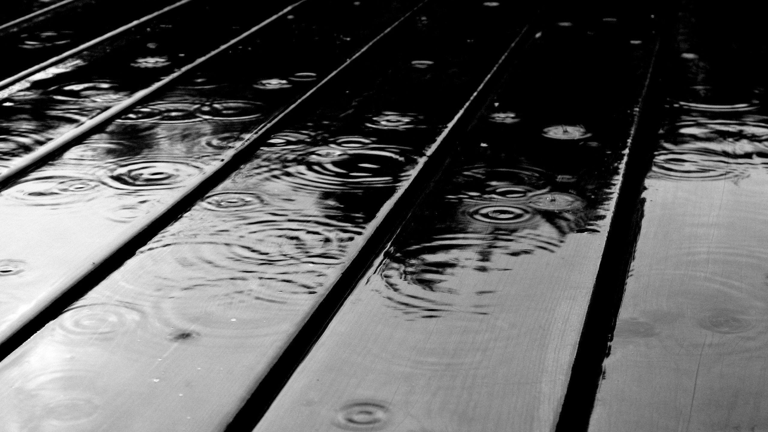 2560x1440 Rain Widescreen Wallpaper HD