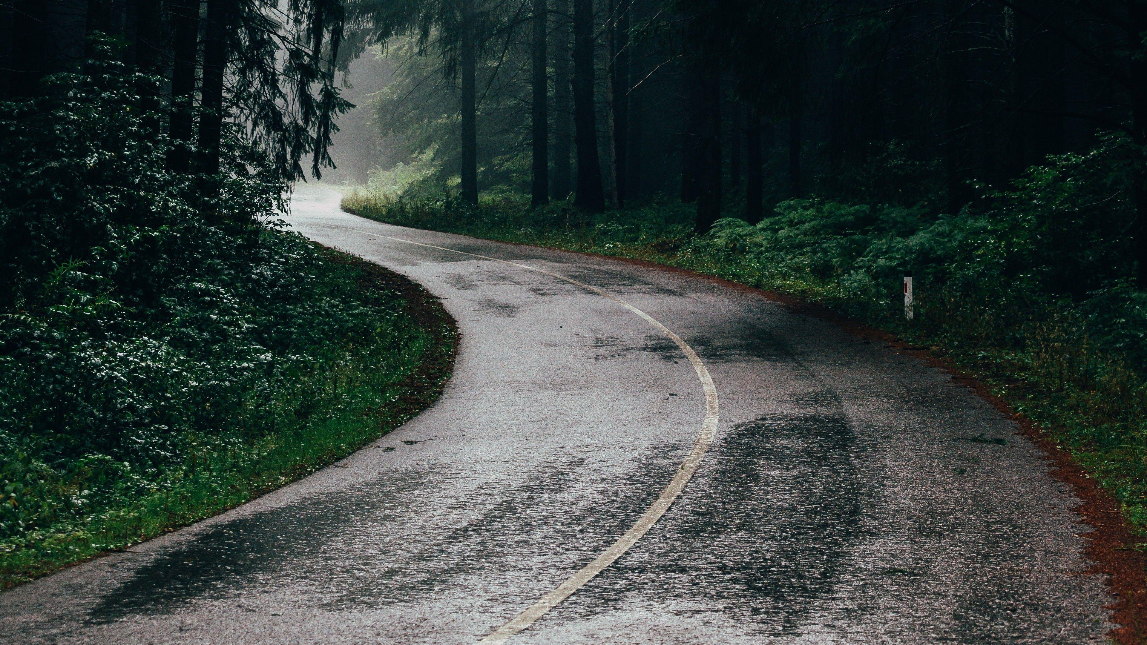 3840x2160 Rainy Road in Woods .