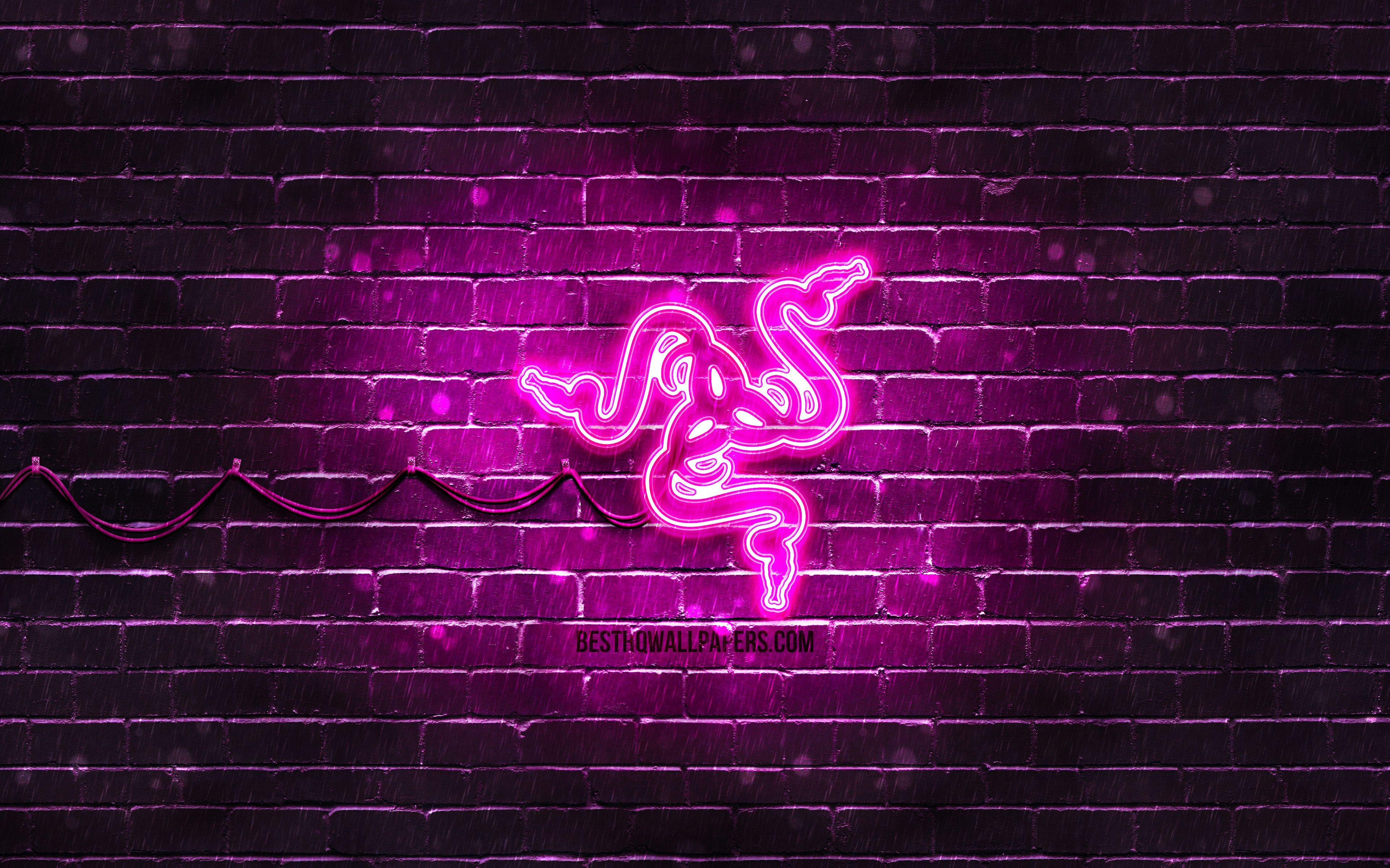 Purple Razer Wallpapers - Top Free Purple Razer Backgrounds